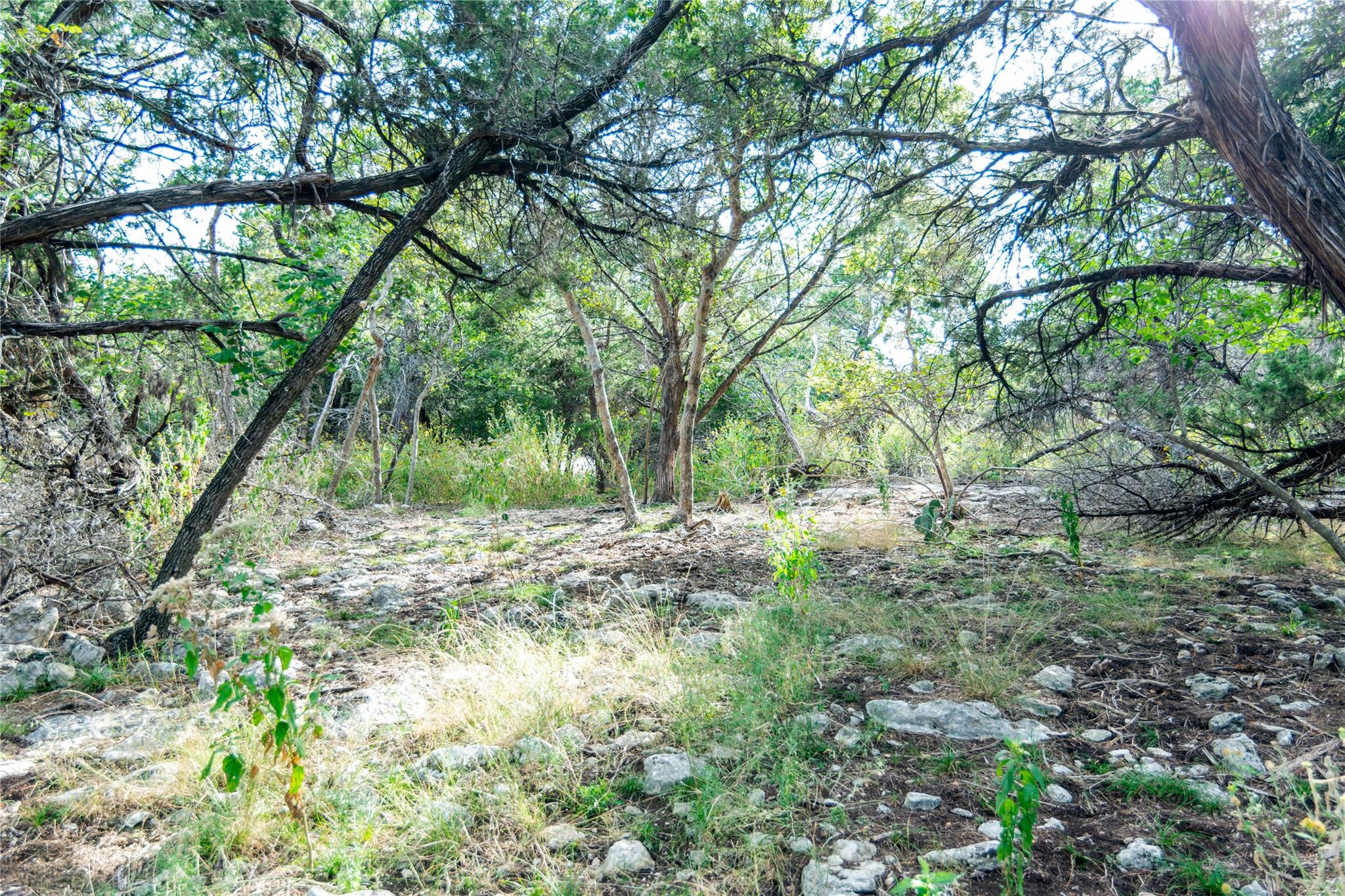 16353 Charlya Dr, Temple, TX 76502