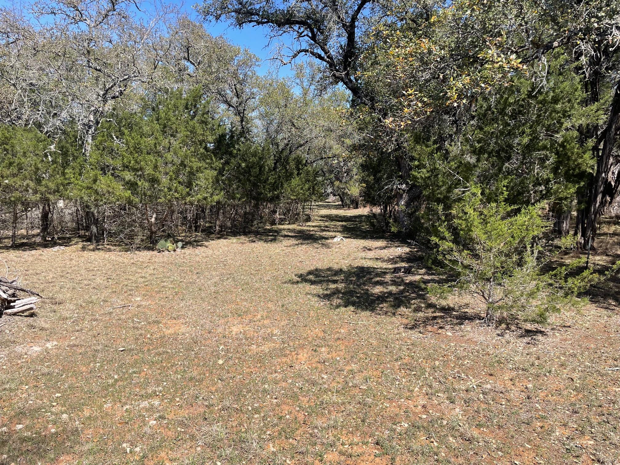 116 Carol Cv, Spicewood, TX 78669