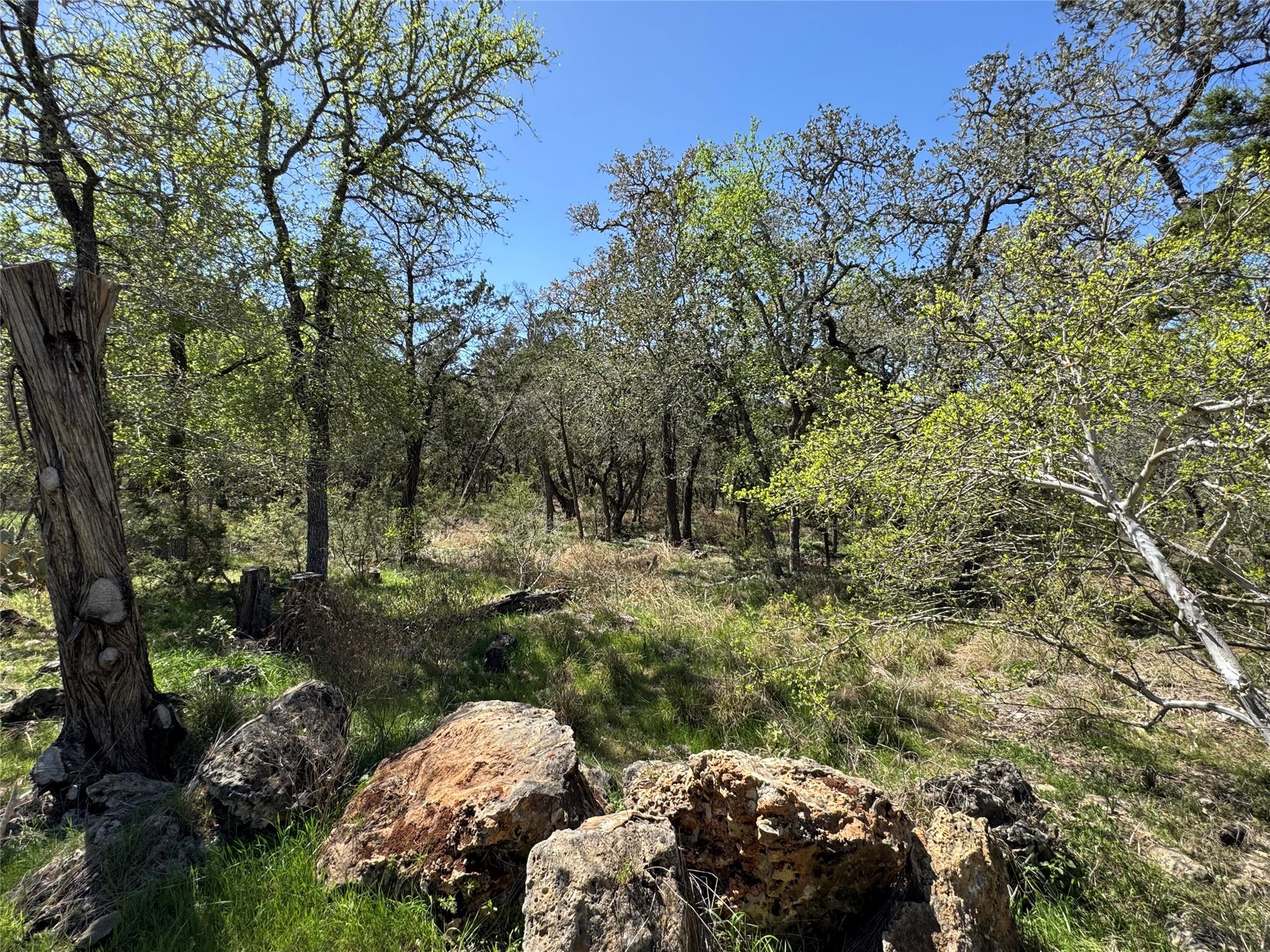 801 Deertrail Dr, San Marcos, TX 78666