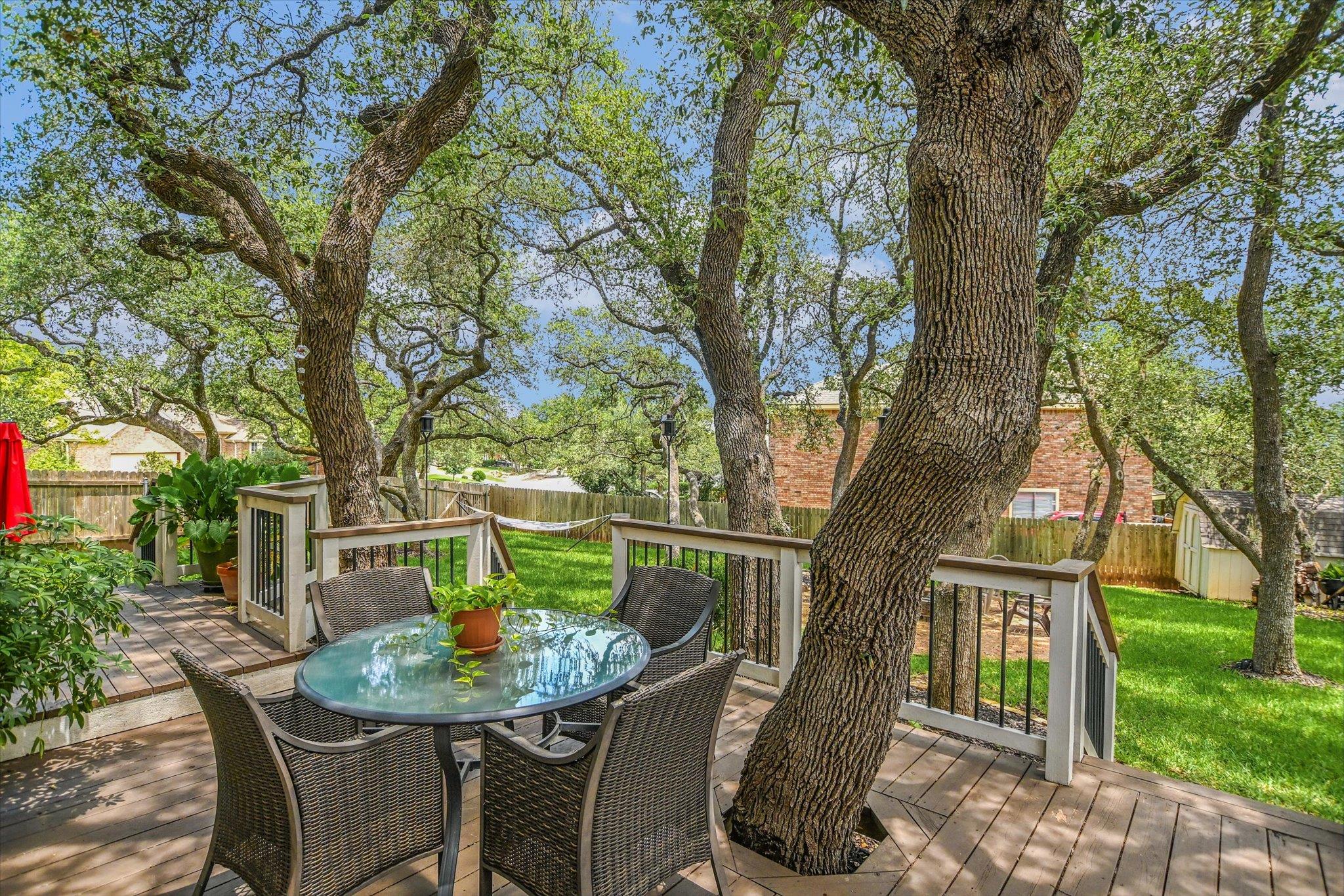 8007 Davis Mountain Cv, Austin, TX 78726