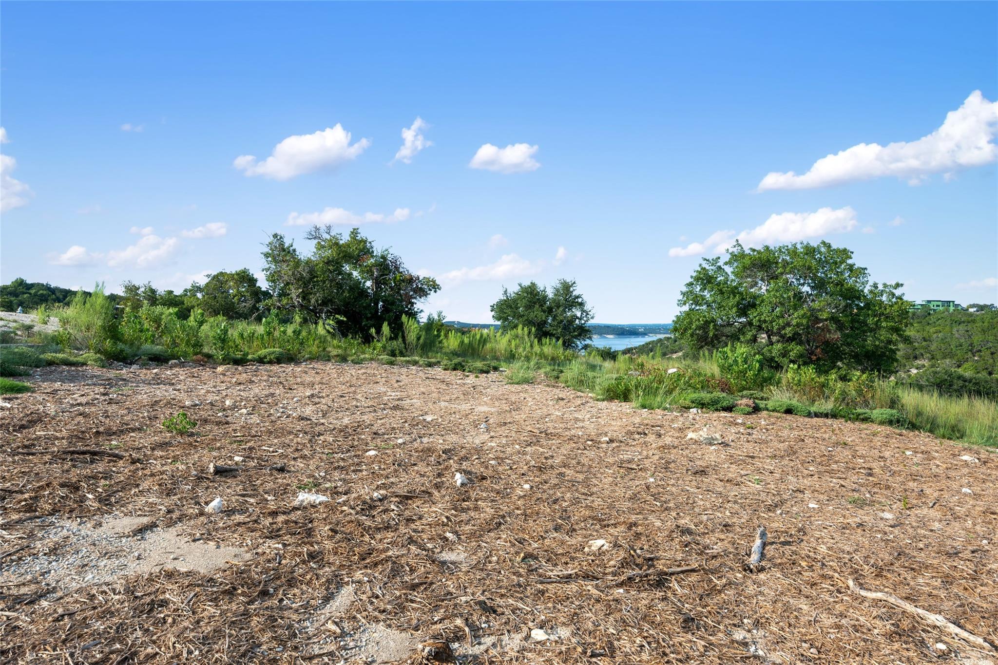 955 Flagtop Ct, Lakeway, TX 78738