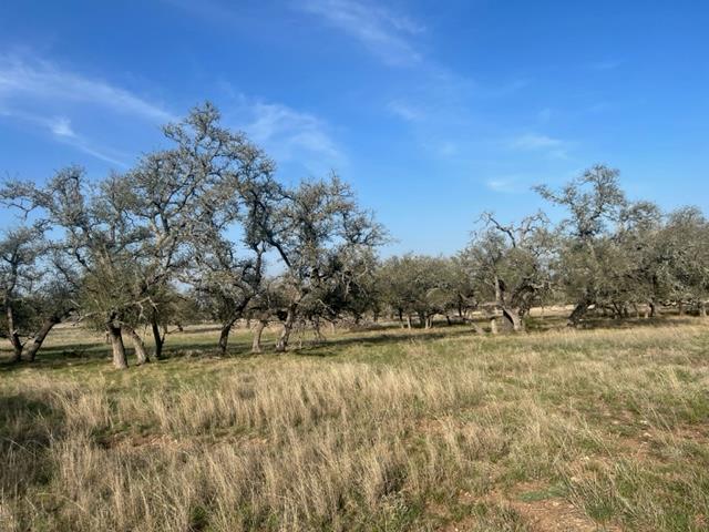 LOT 72 Fallow Dr, Harper, TX 78631