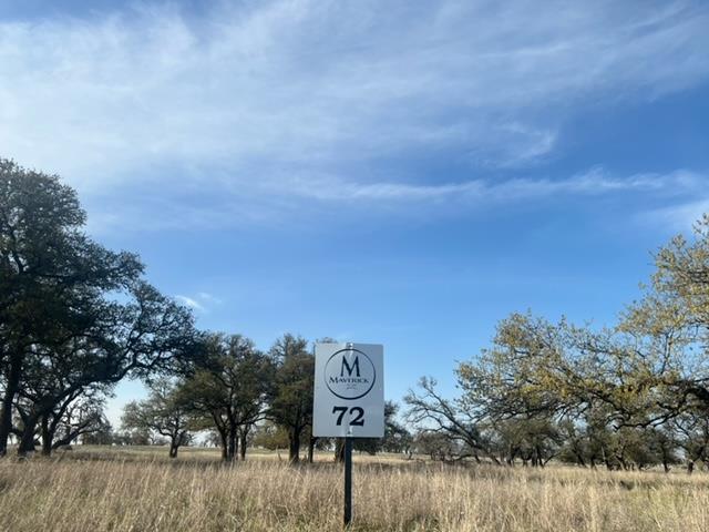 LOT 72 Fallow Dr, Harper, TX 78631