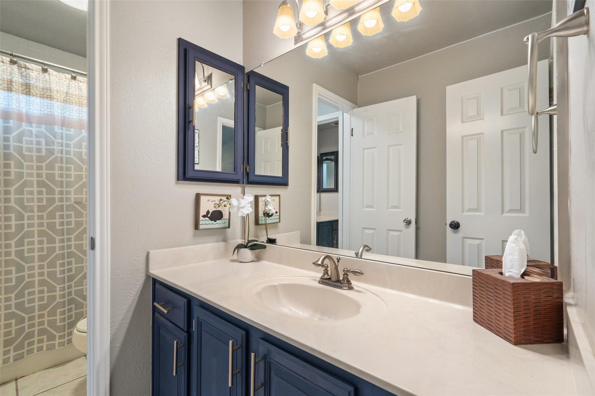 11006 Needham Ct, Austin, TX 78739