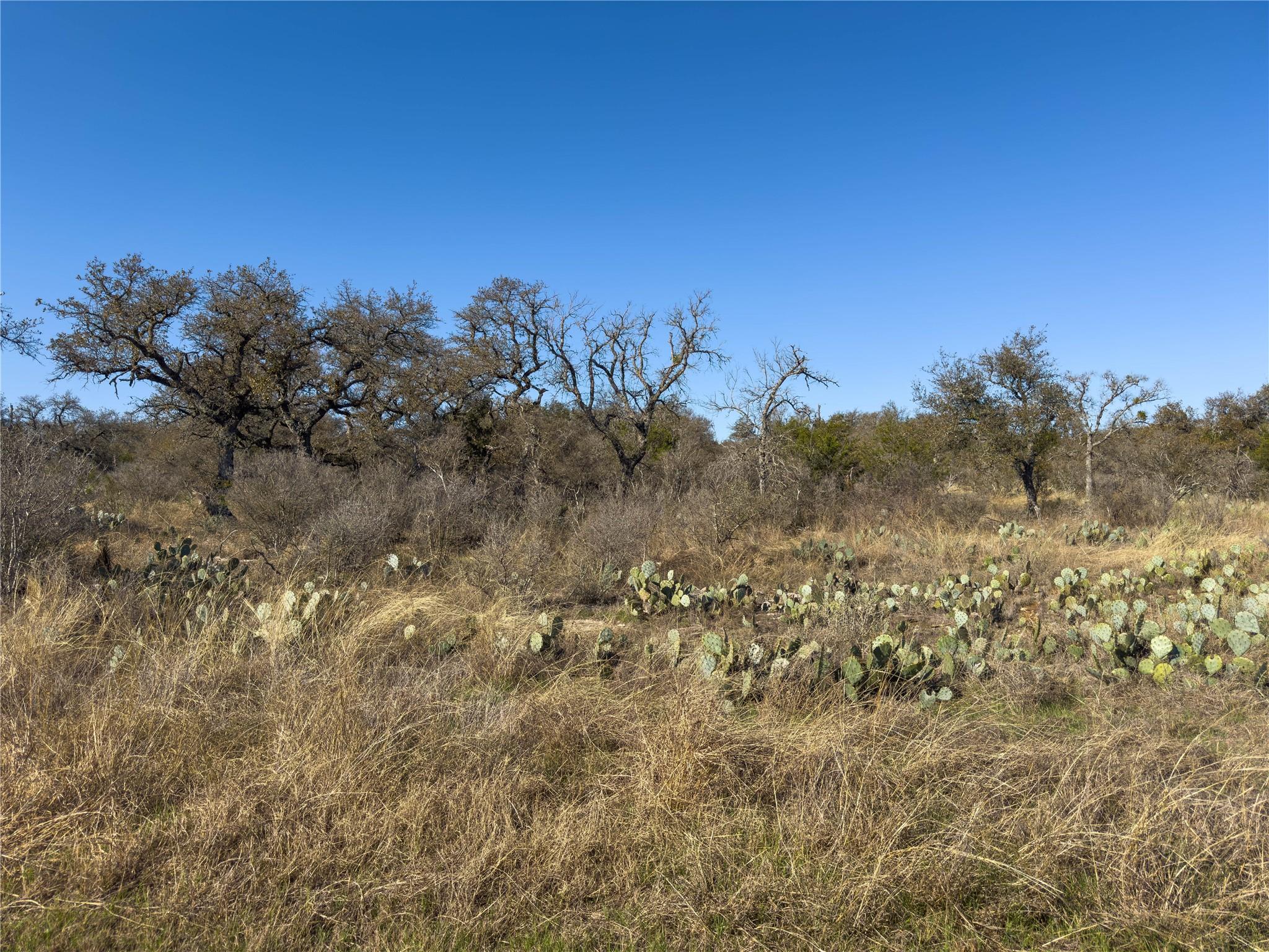 Lot 20 Comanche Rdg, Round Mountain, TX 78663