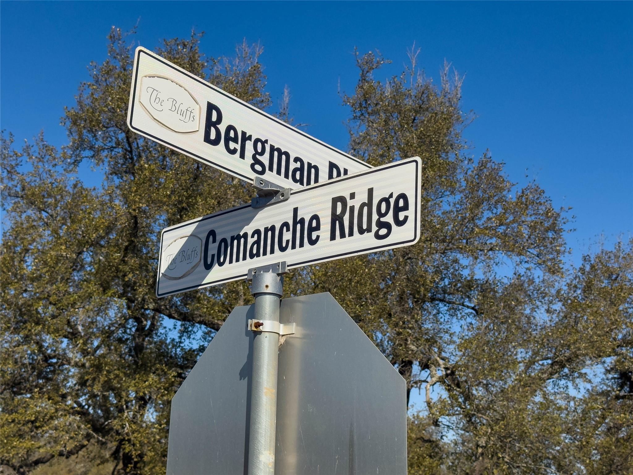 Lot 20 Comanche Rdg, Round Mountain, TX 78663