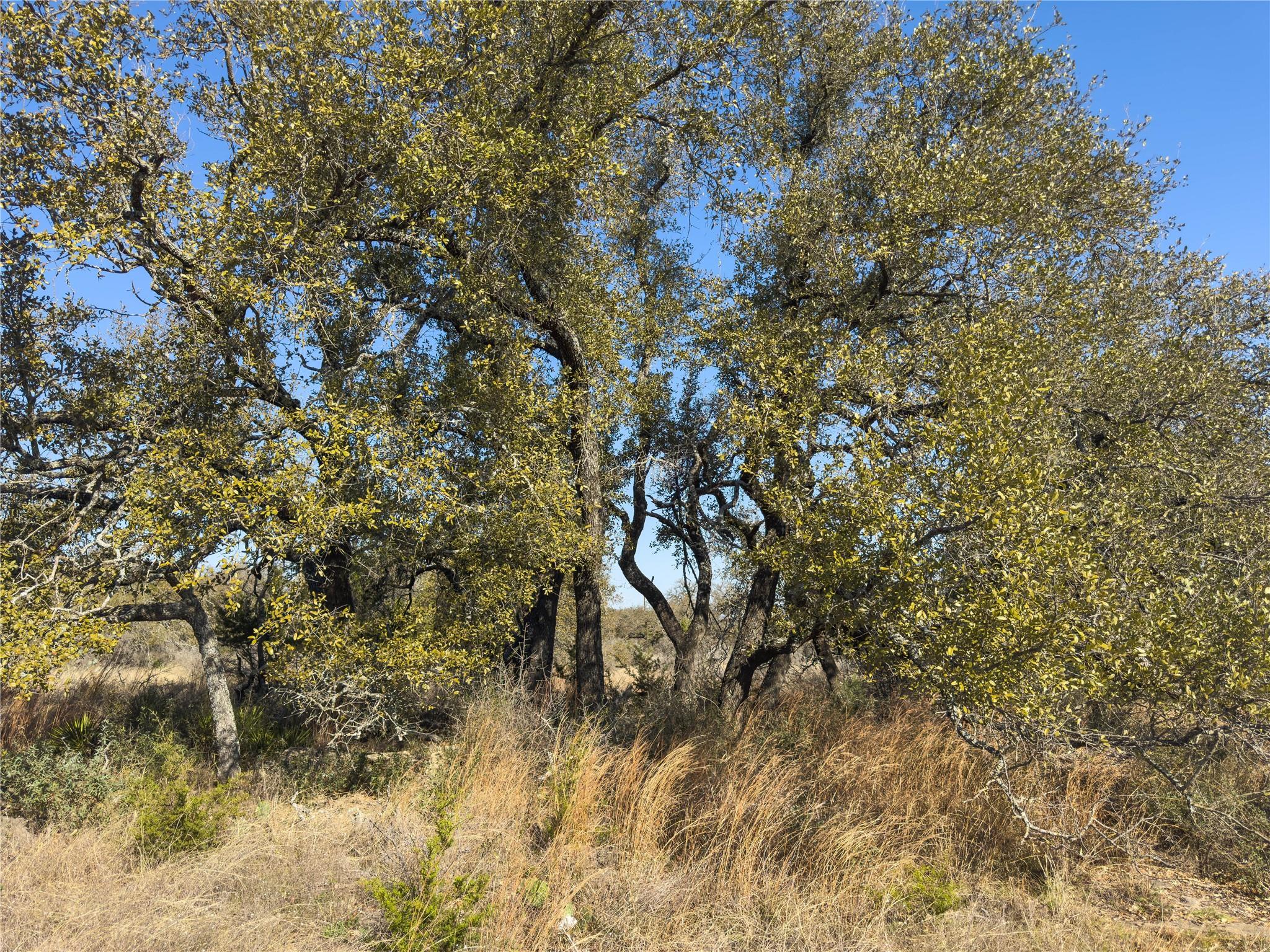 Lot 20 Comanche Rdg, Round Mountain, TX 78663