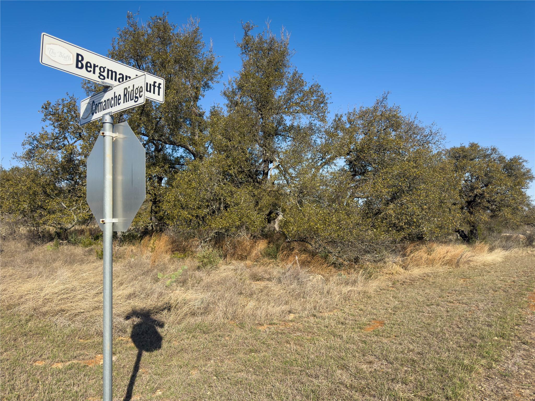 Lot 20 Comanche Rdg, Round Mountain, TX 78663