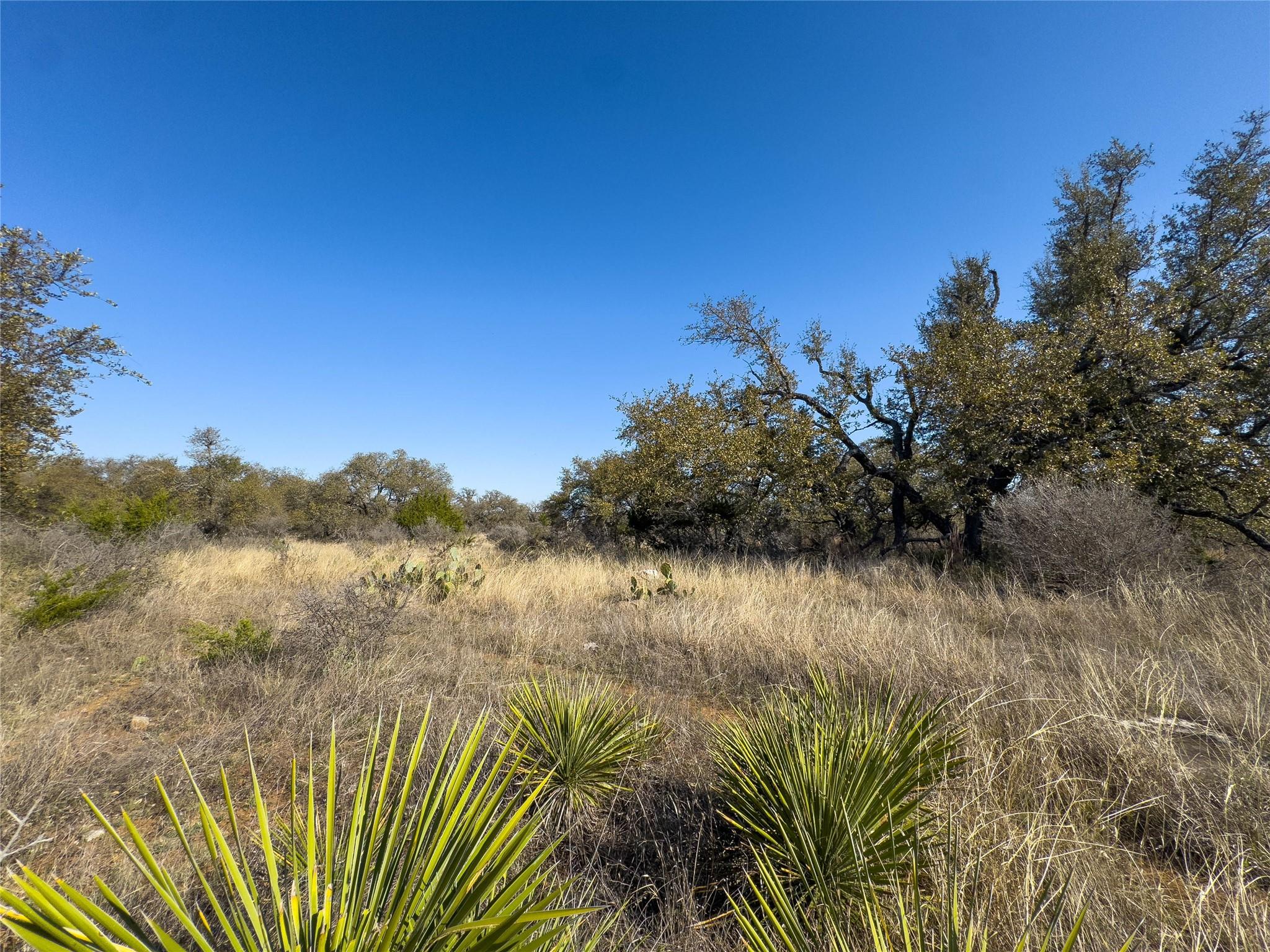 Lot 20 Comanche Rdg, Round Mountain, TX 78663