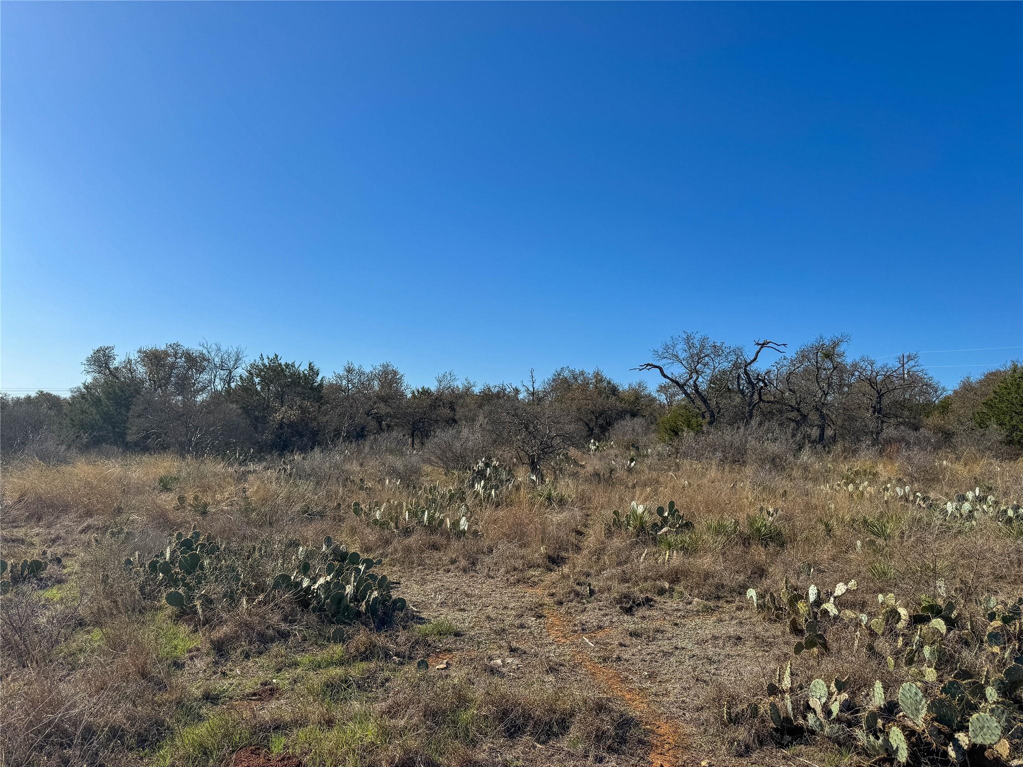 Lot 20 Comanche Rdg, Round Mountain, TX 78663