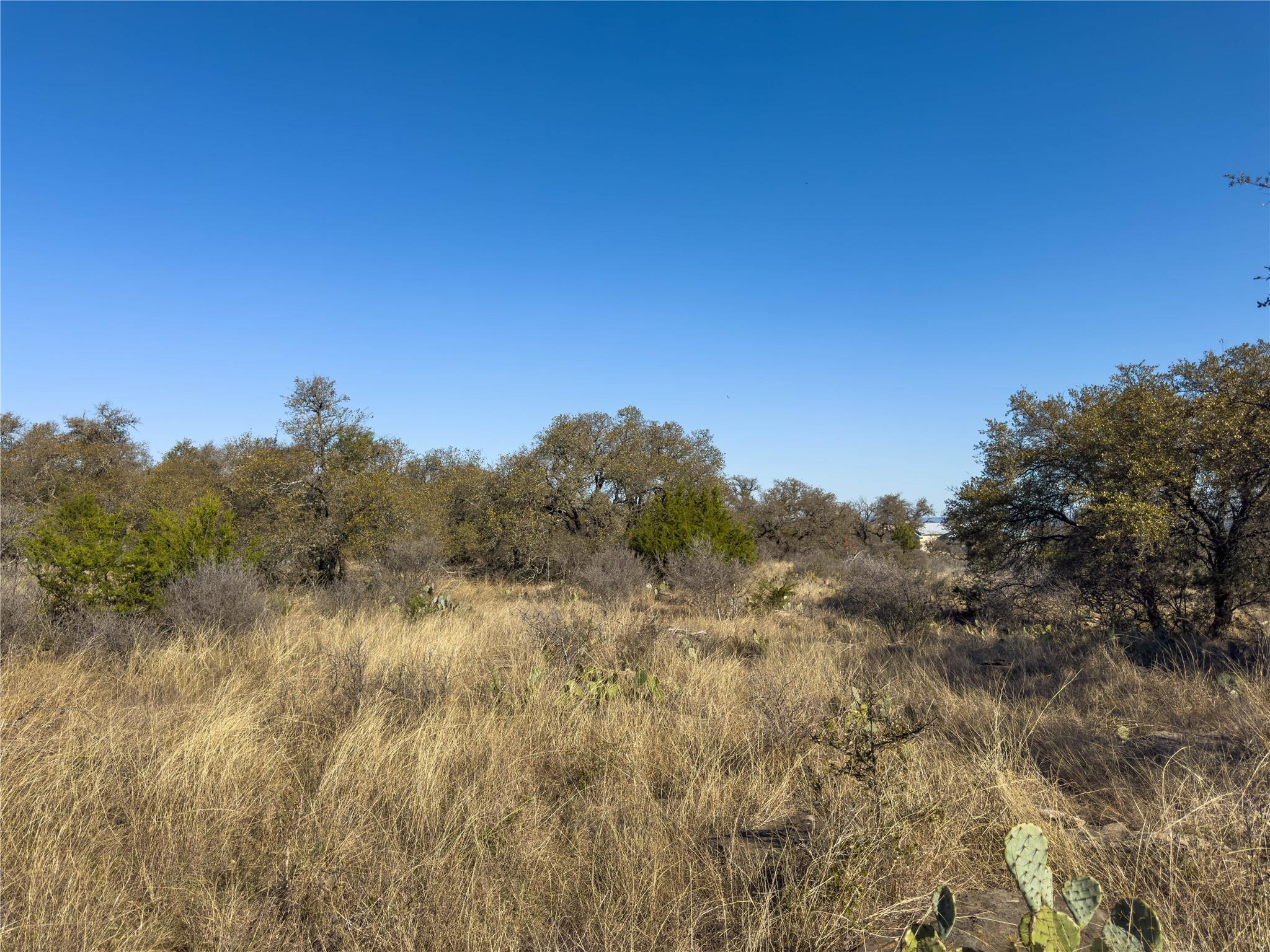 Lot 20 Comanche Rdg, Round Mountain, TX 78663