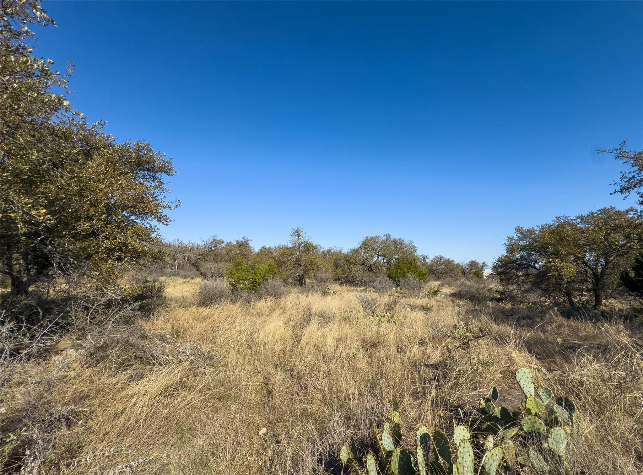 Lot 20 Comanche Rdg, Round Mountain, TX 78663