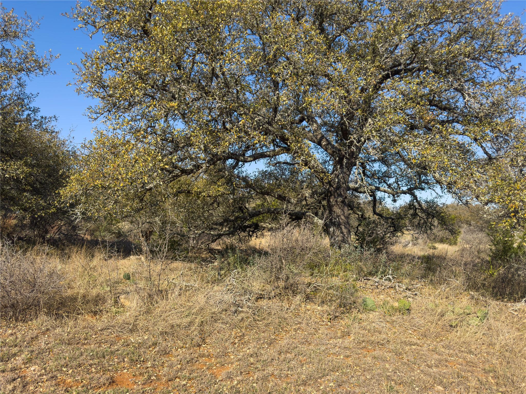 Lot 20 Comanche Rdg, Round Mountain, TX 78663