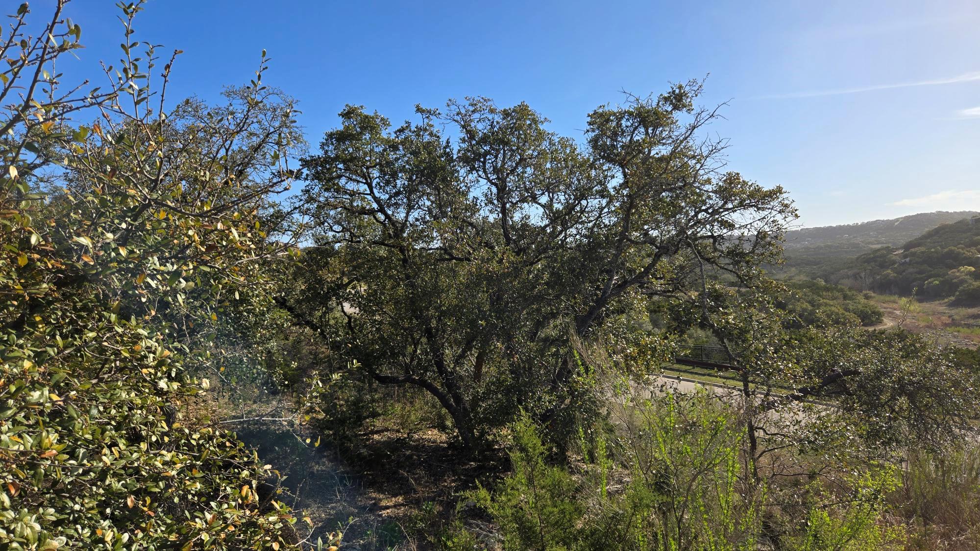 7600 Tessera Pkwy, Lago Vista, TX 78645