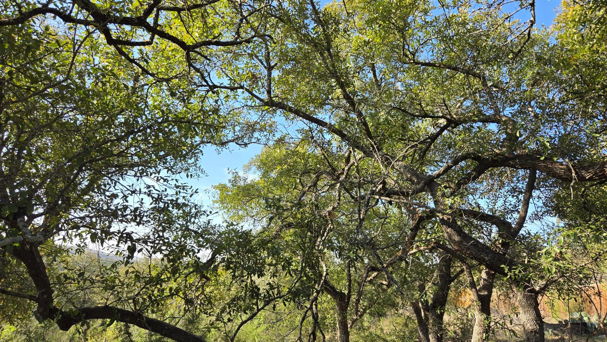 7600 Tessera Pkwy, Lago Vista, TX 78645