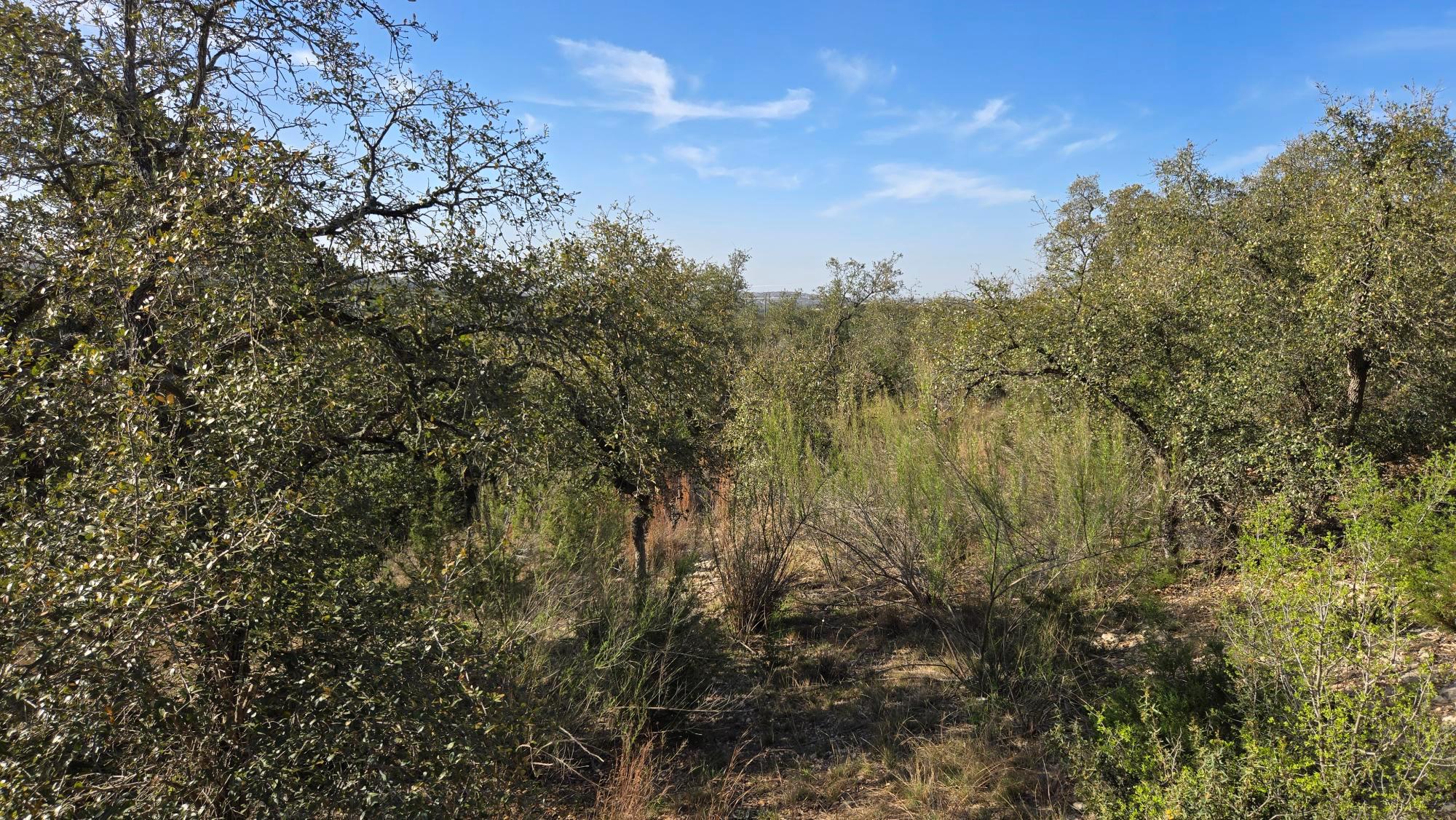 7600 Tessera Pkwy, Lago Vista, TX 78645