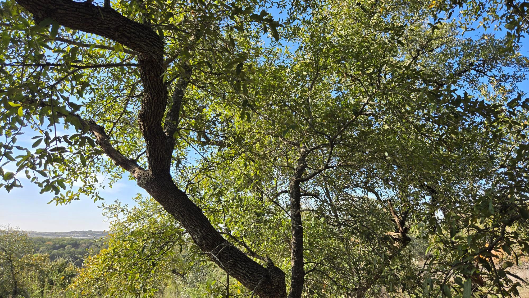 7600 Tessera Pkwy, Lago Vista, TX 78645