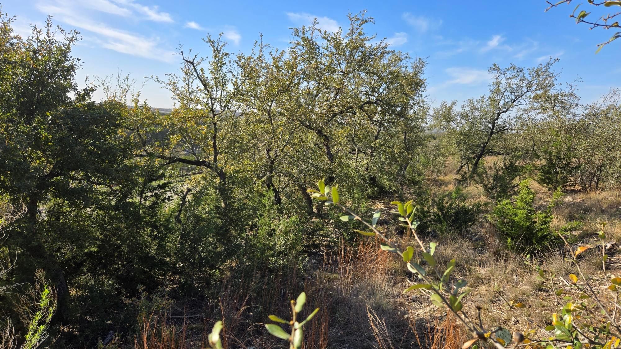 7600 Tessera Pkwy, Lago Vista, TX 78645