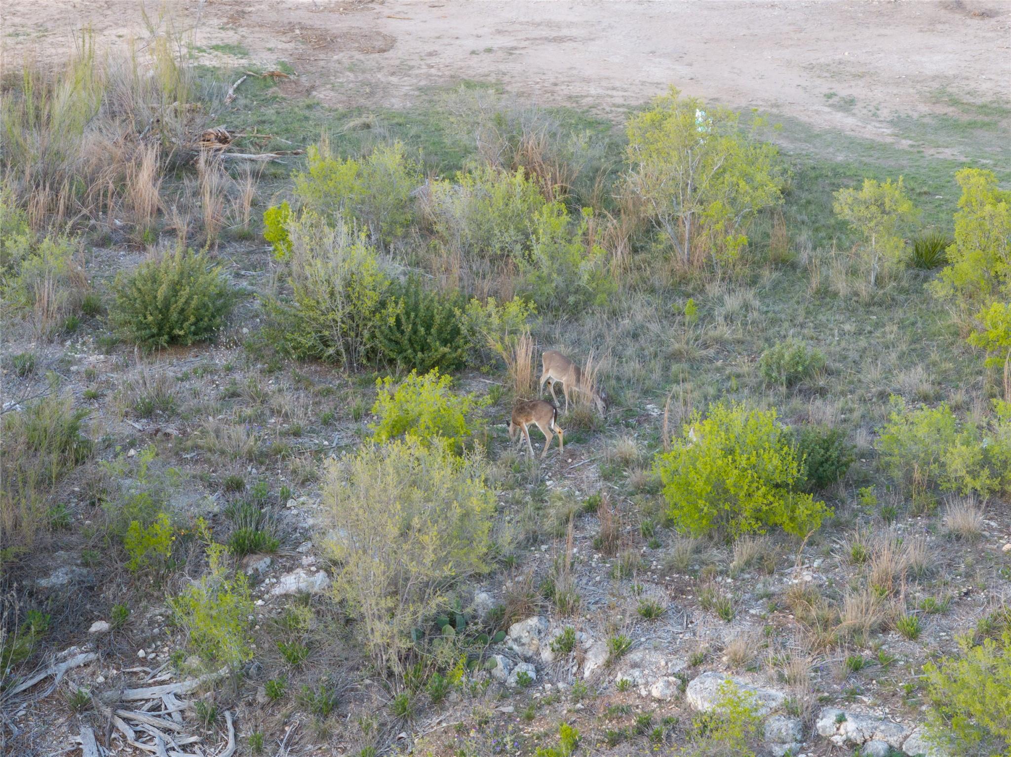 606 Casasanta Trl, Austin, TX 78738