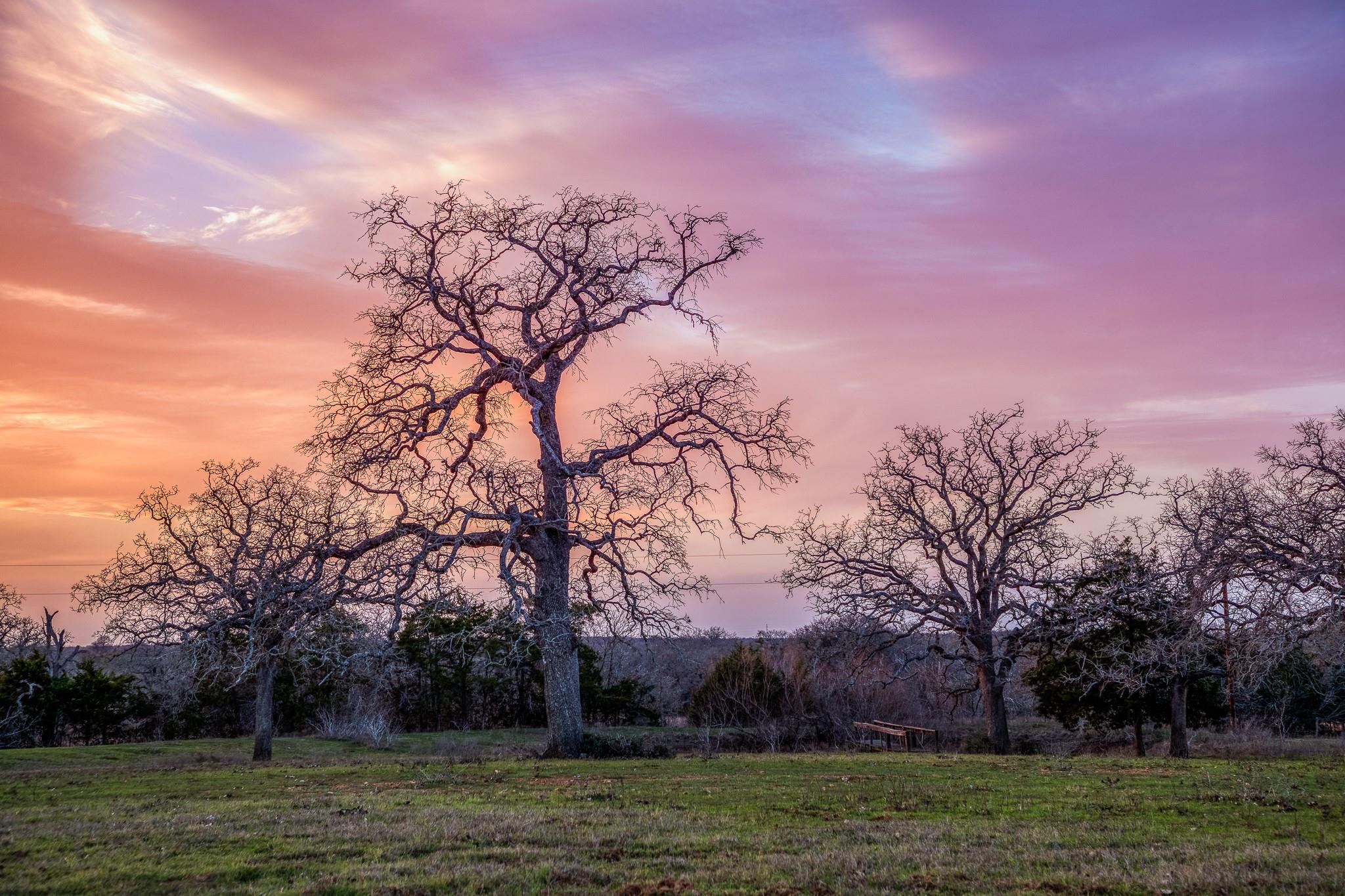 12893 E State Highway 97, Waelder, TX 78959