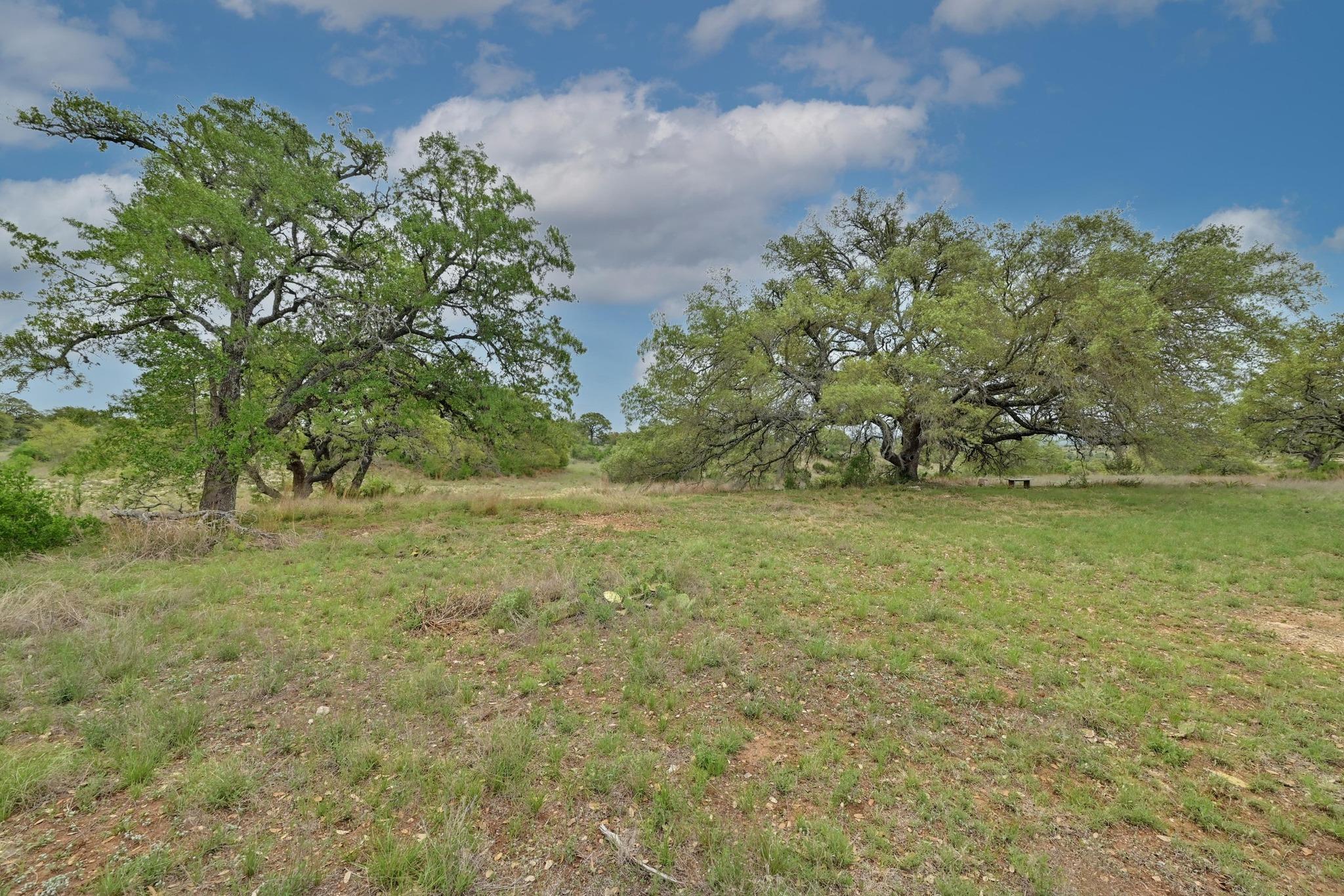 195 Cypress View Dr, Johnson City, TX 78636