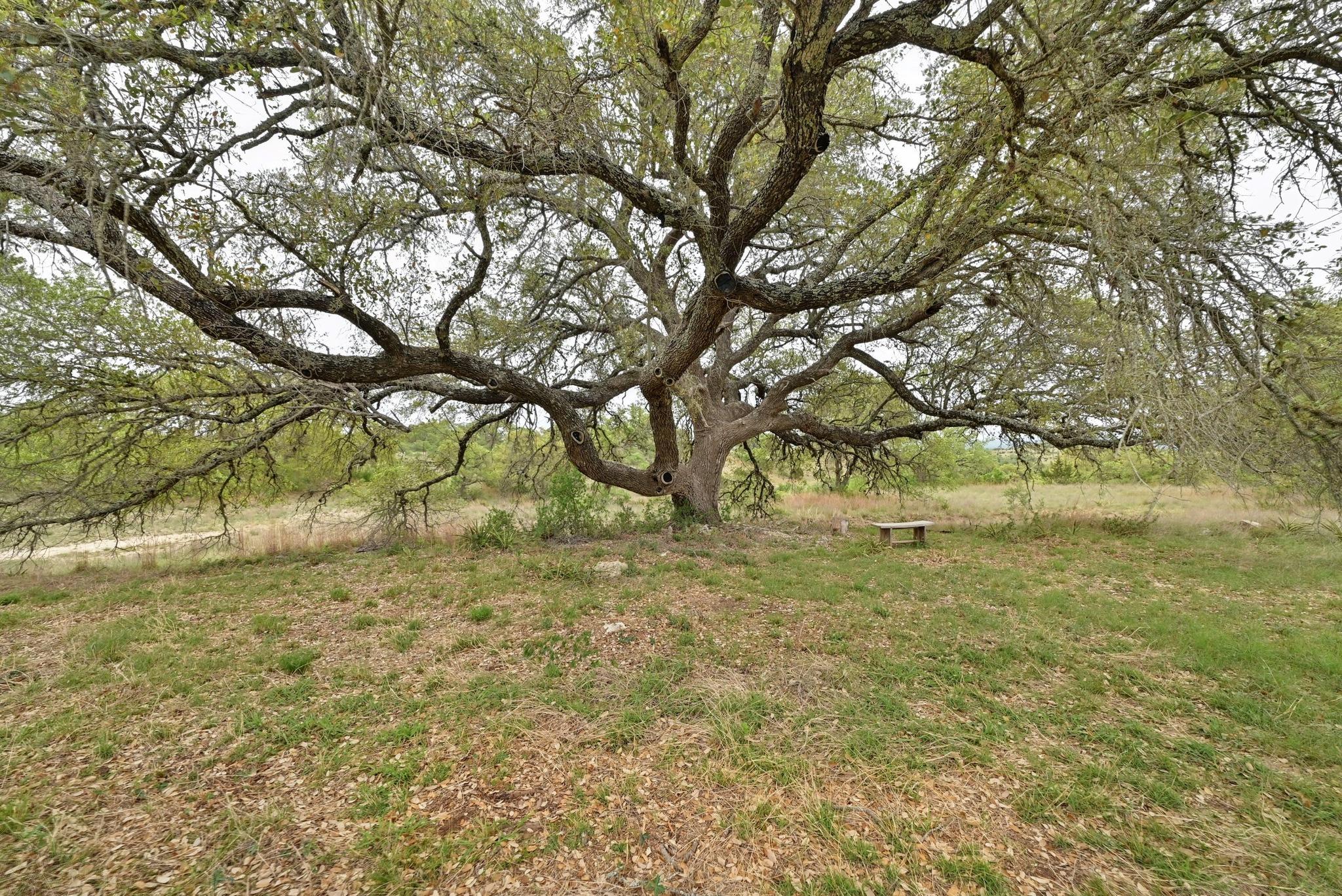 195 Cypress View Dr, Johnson City, TX 78636