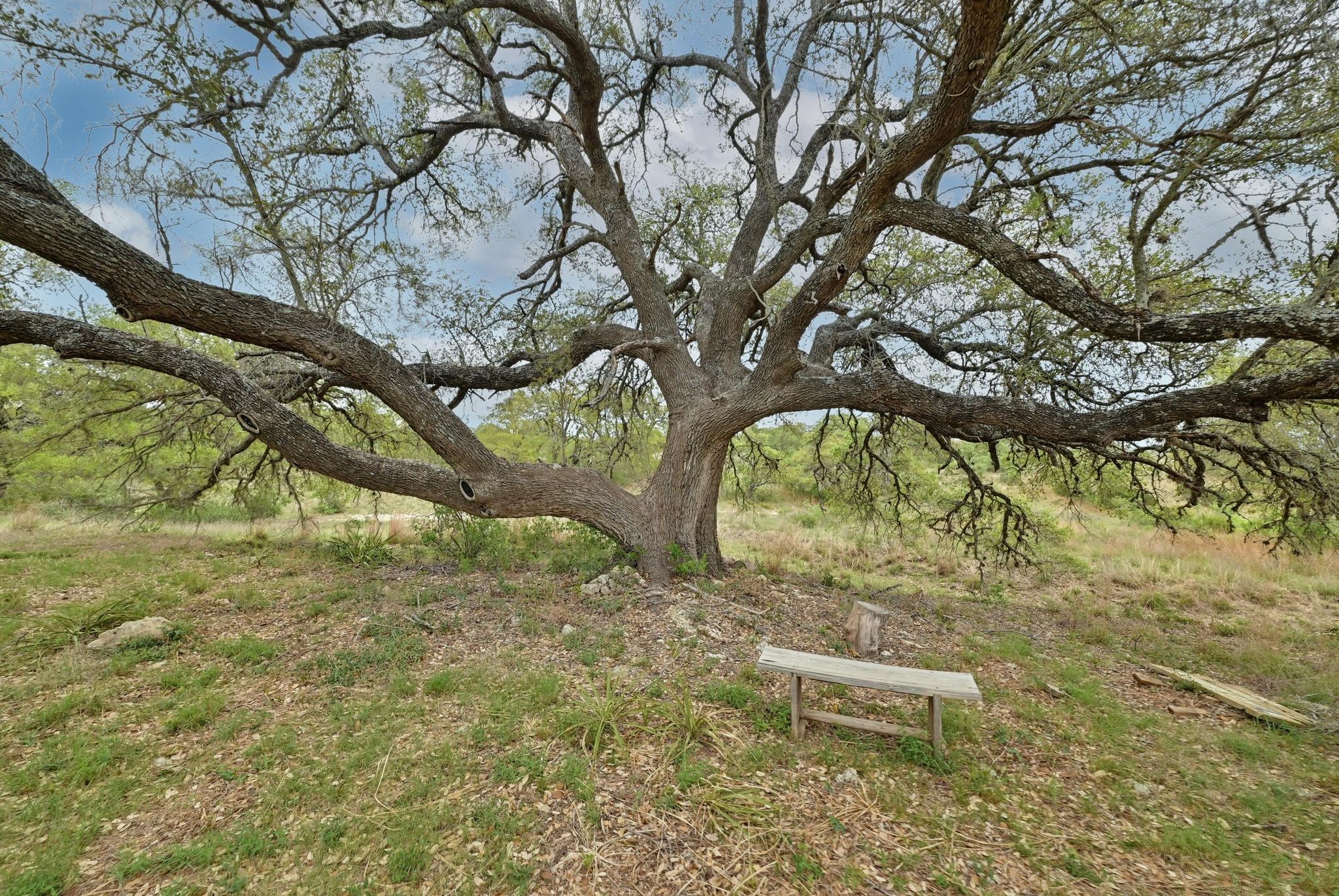 195 Cypress View Dr, Johnson City, TX 78636