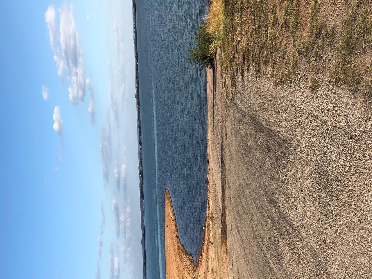 000 Norma Ln, Tow, TX 78672