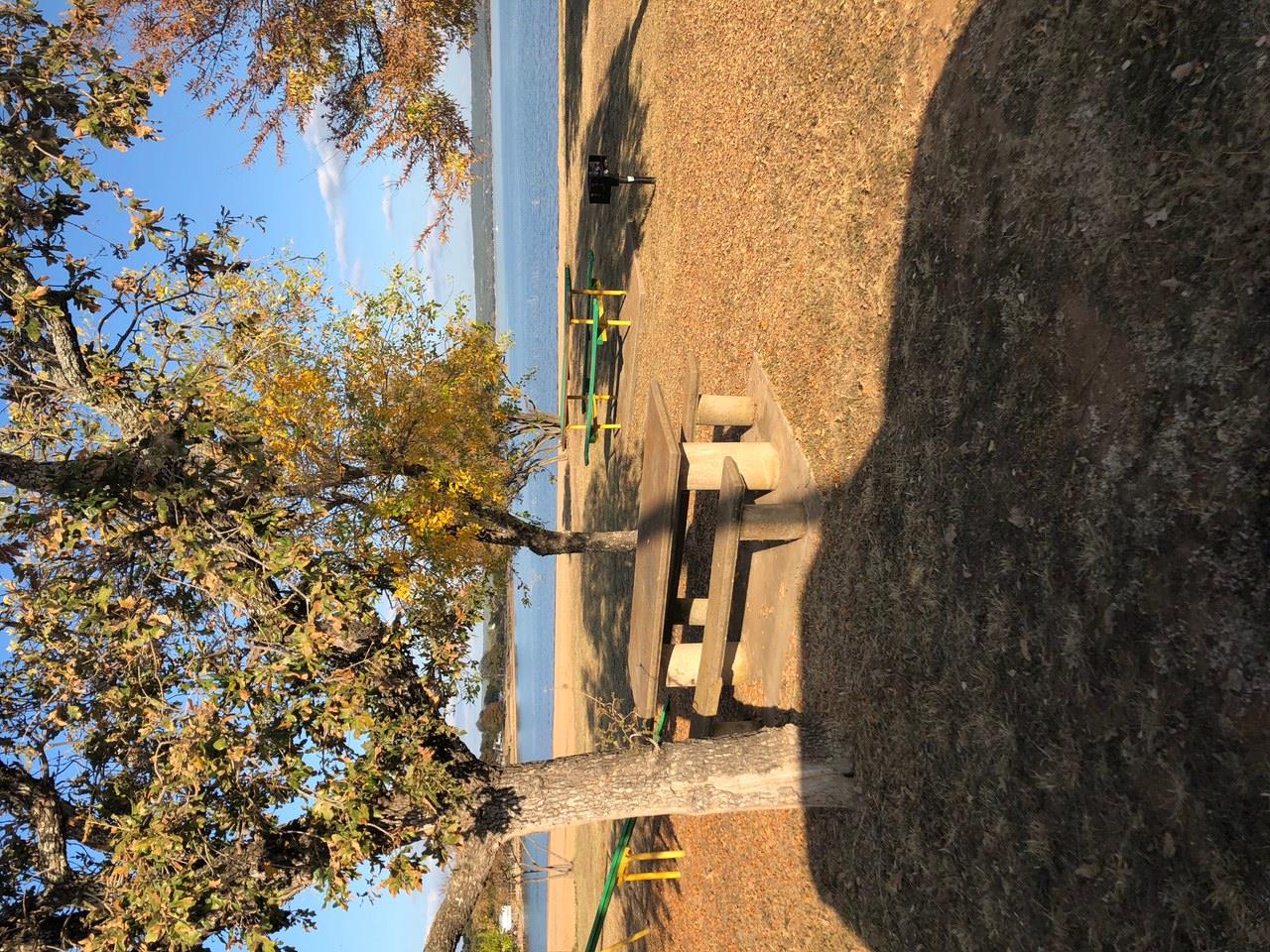 000 Norma Ln, Tow, TX 78672