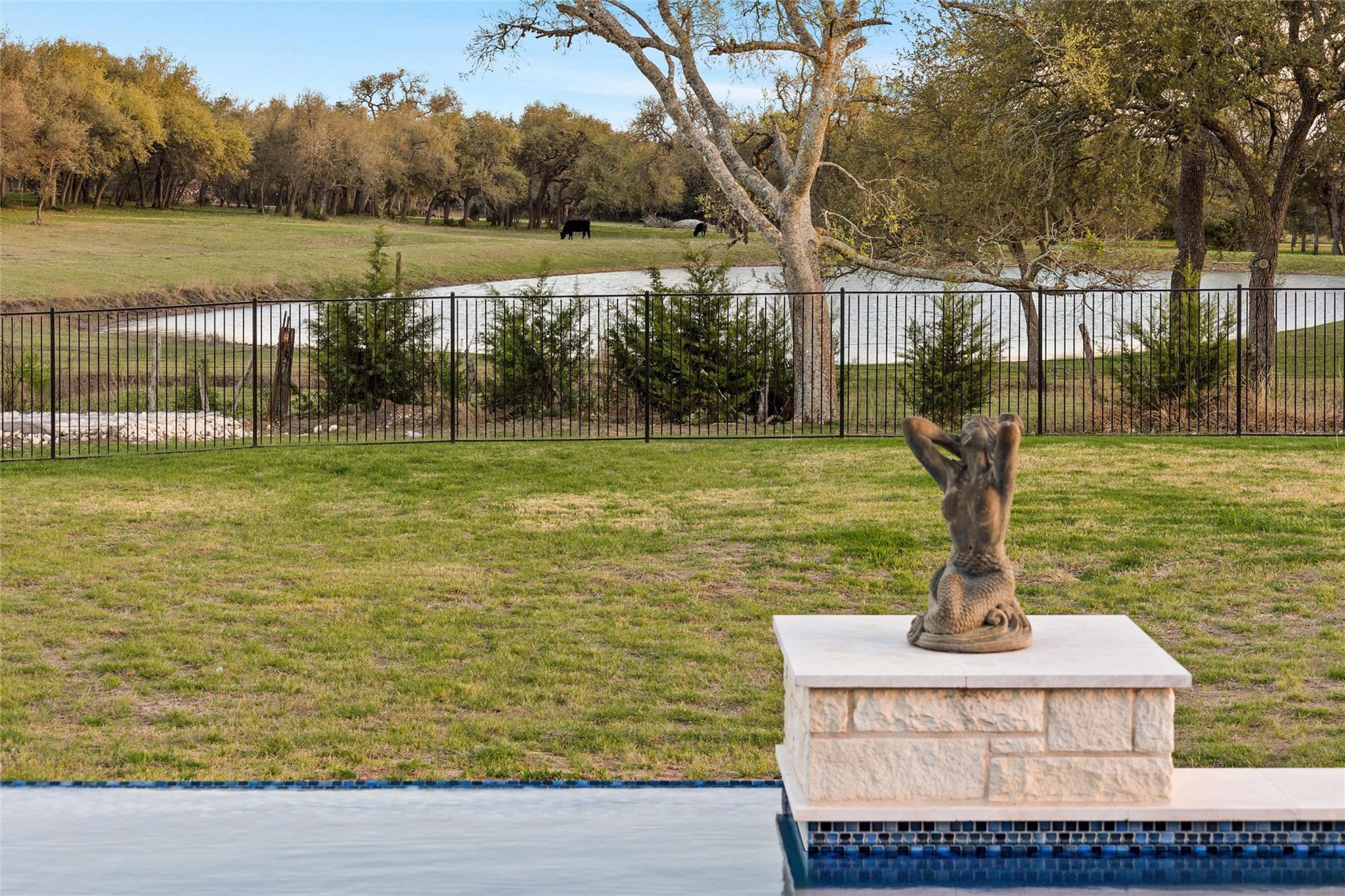429 Prairie Clover Dr, Dripping Springs, TX 78620