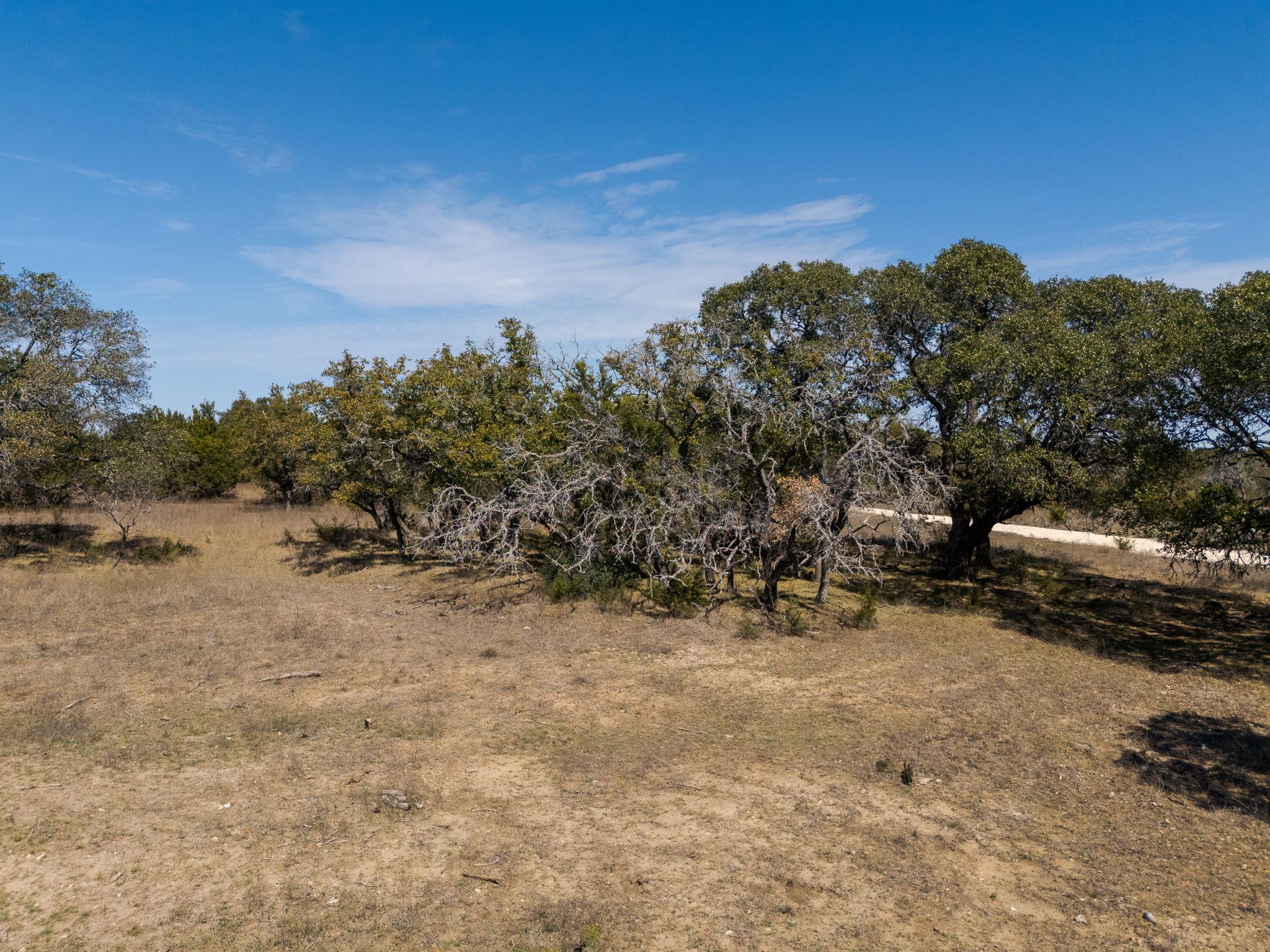 TBD Lot 237 Heartleaf Dr, Lampasas, TX 76550