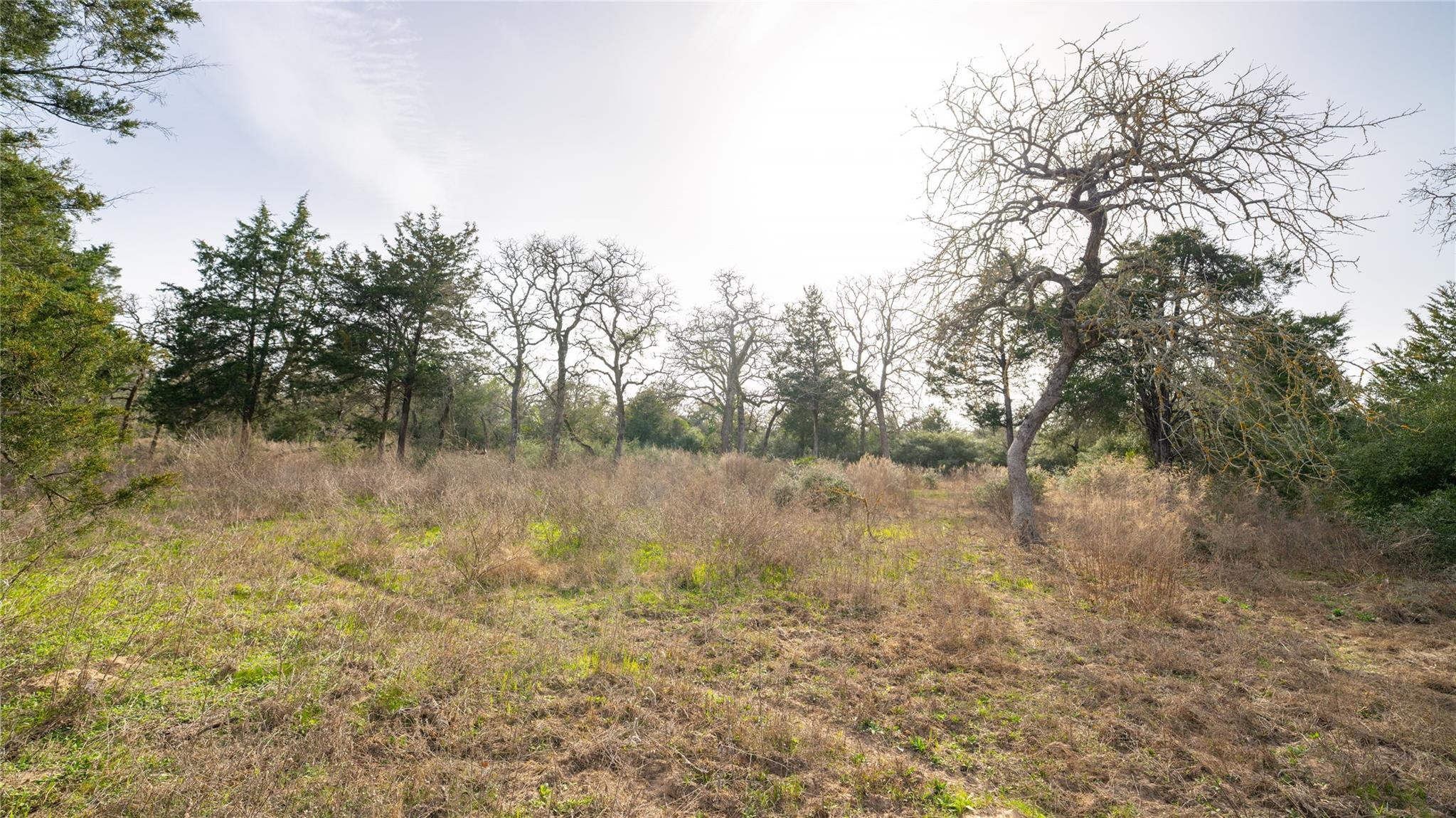 363 Private Road 3745, Milano, TX 76556