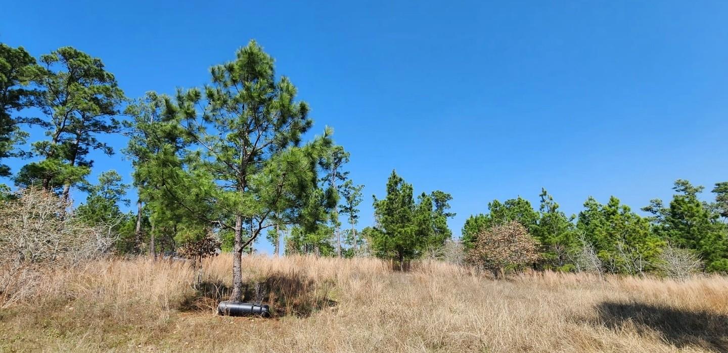 TBD OAHU Ct, Bastrop, TX 78602