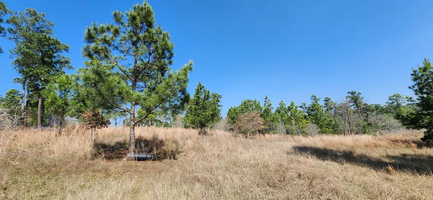 TBD OAHU Ct, Bastrop, TX 78602