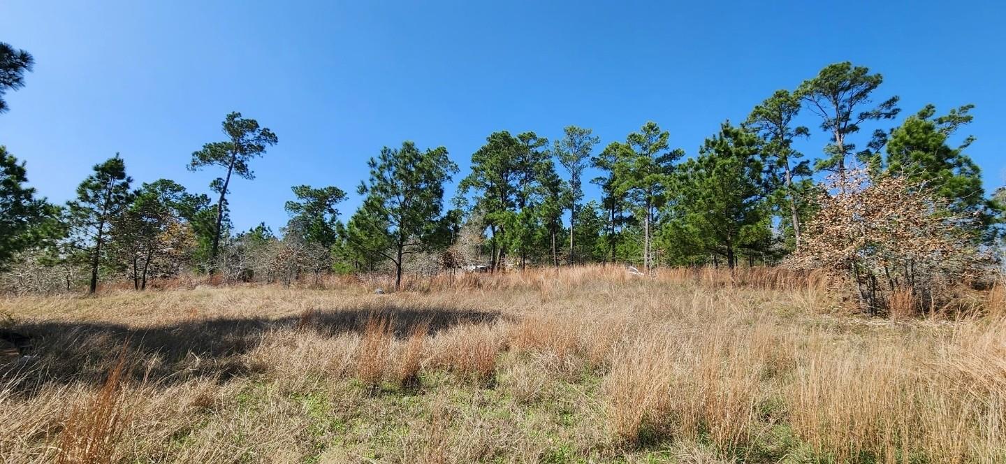 TBD OAHU Ct, Bastrop, TX 78602