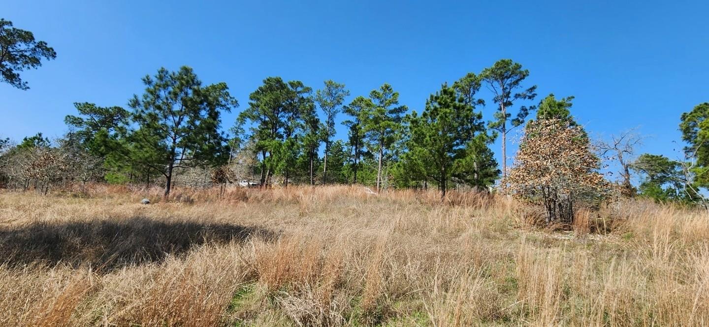 TBD OAHU Ct, Bastrop, TX 78602