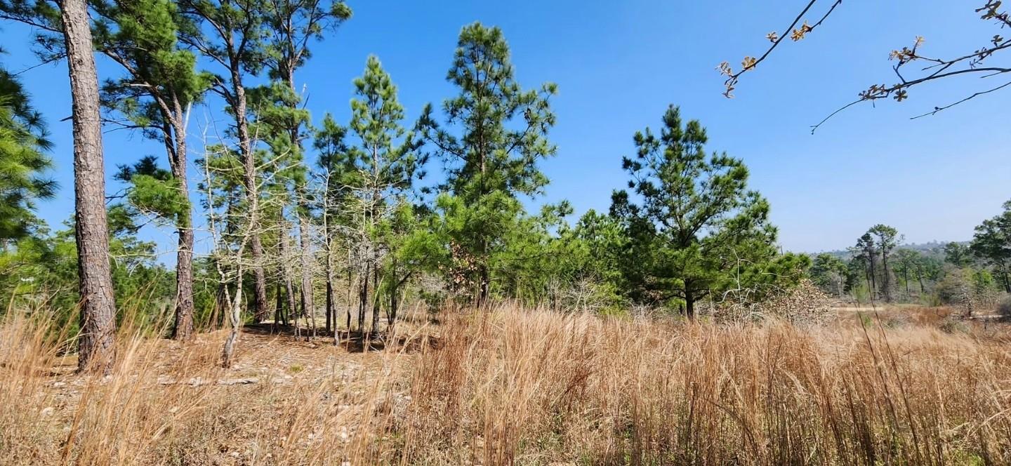 TBD OAHU Ct, Bastrop, TX 78602