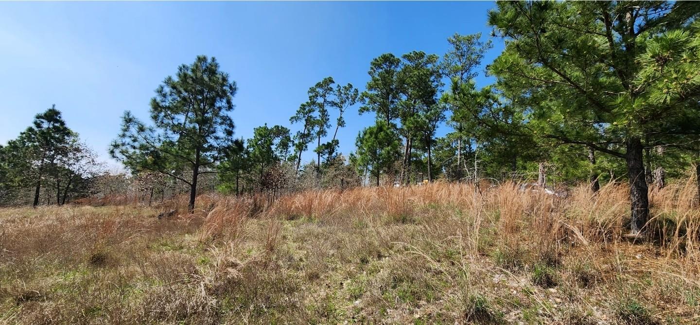 TBD OAHU Ct, Bastrop, TX 78602