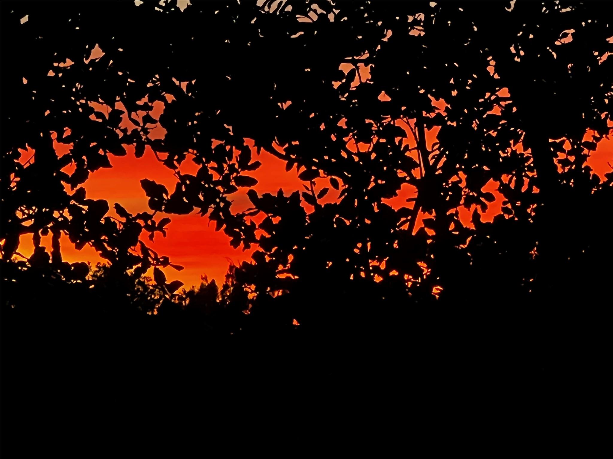 13326 Trautwein Rd, Austin, TX 78737