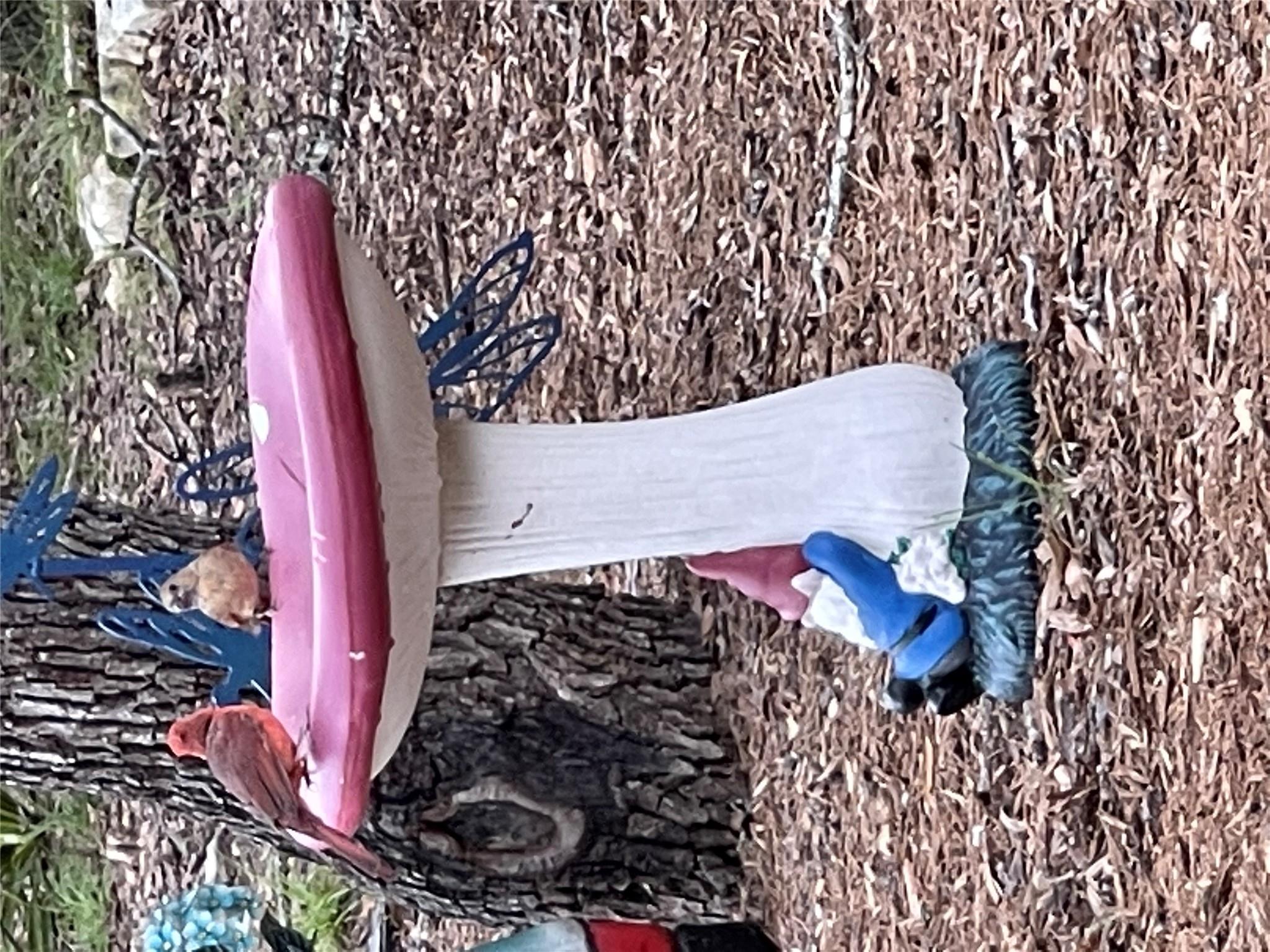 13326 Trautwein Rd, Austin, TX 78737