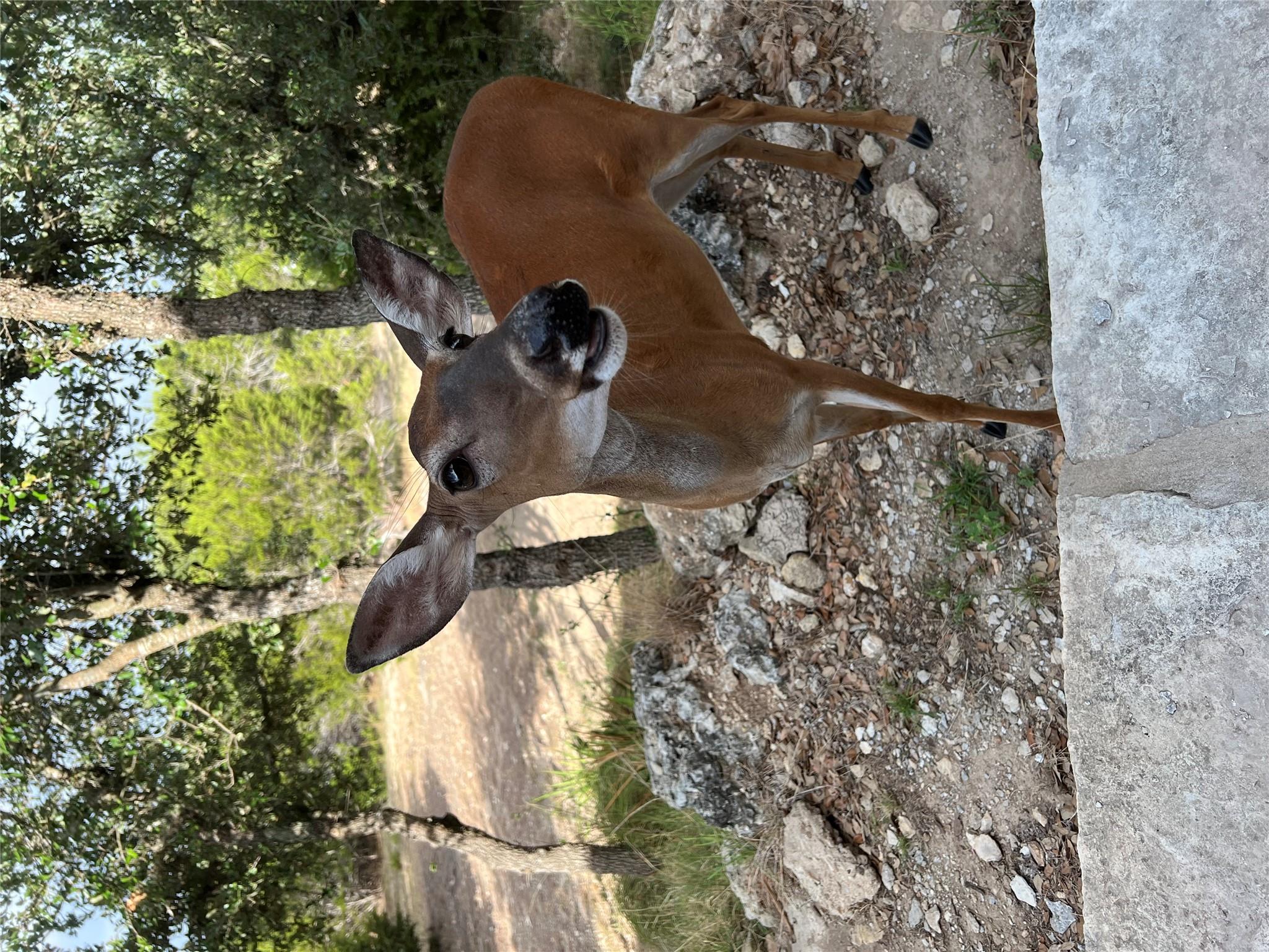 13326 Trautwein Rd, Austin, TX 78737