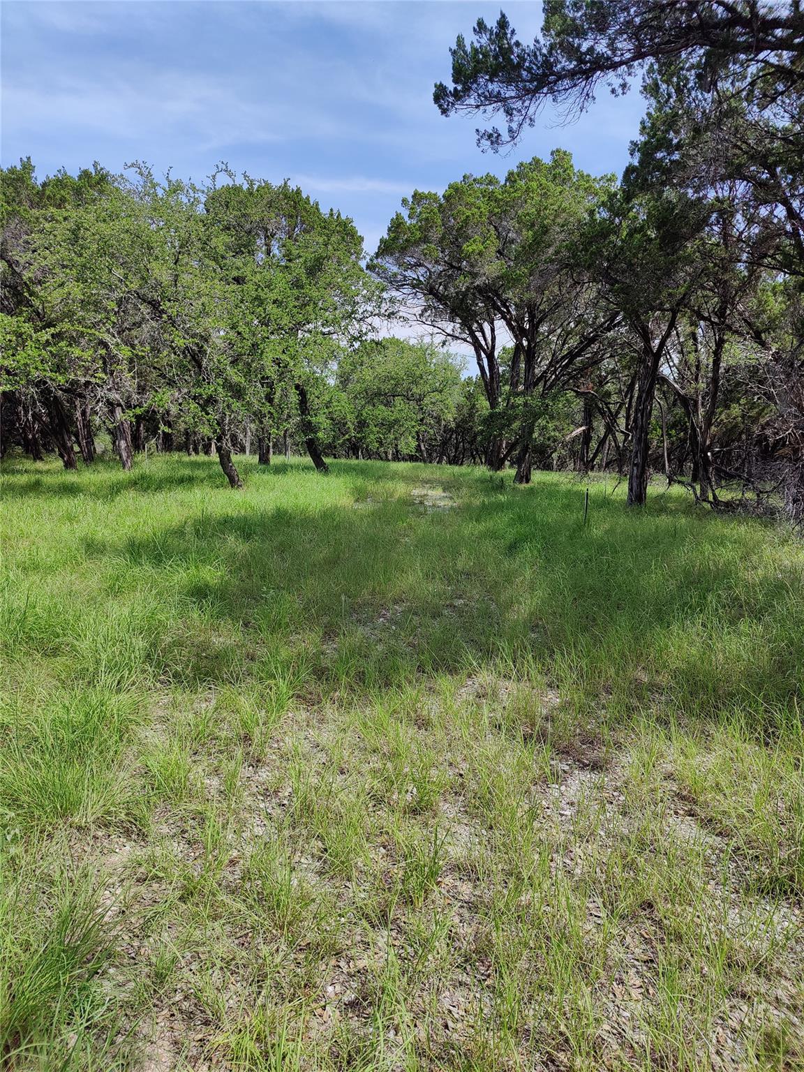 14-A CAROL Cv, Spicewood, TX 78669