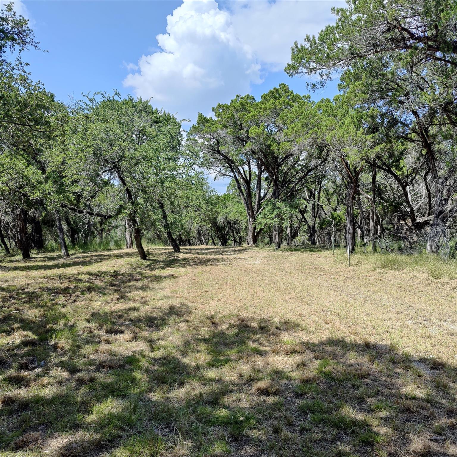 14-A CAROL Cv, Spicewood, TX 78669