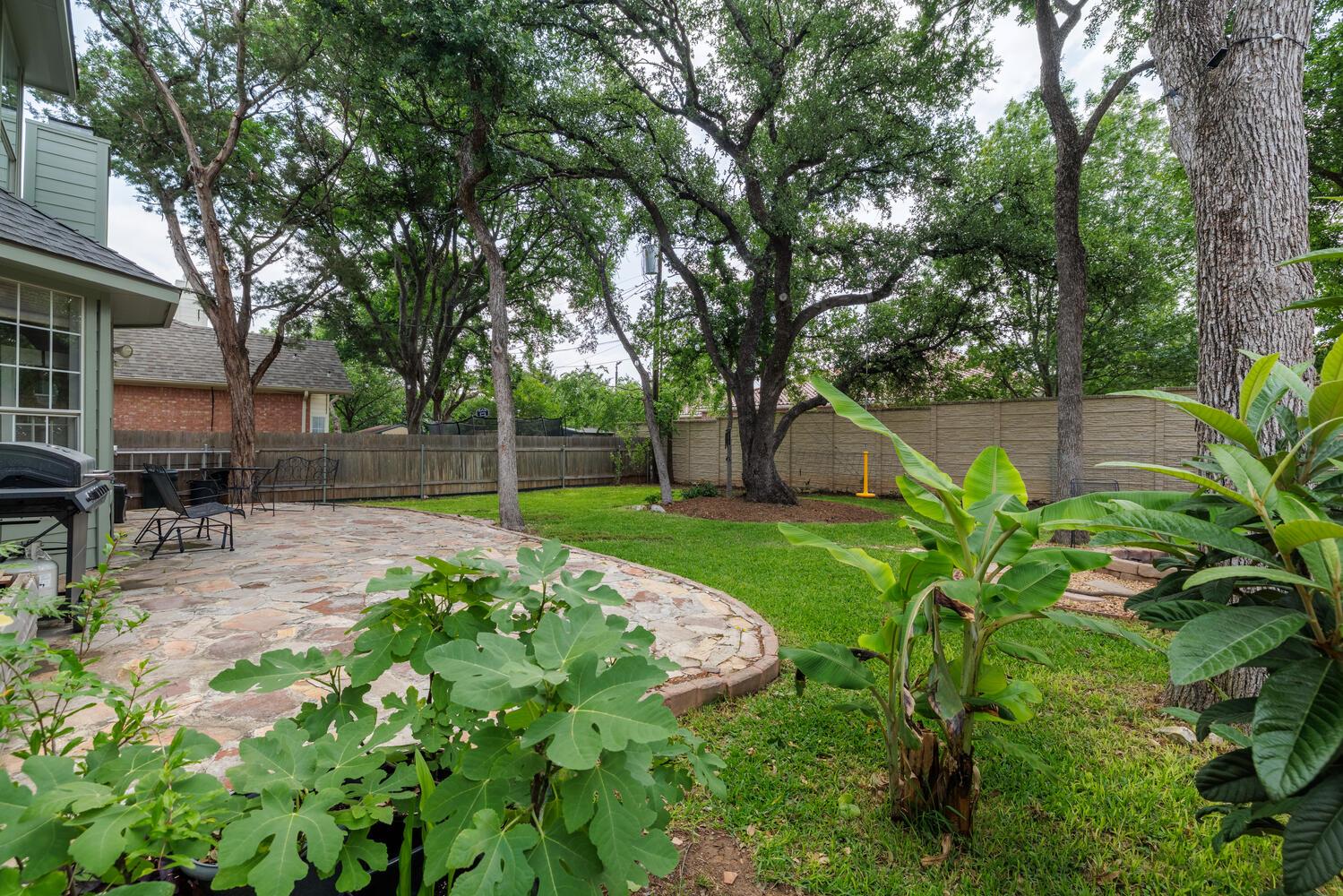 2113 Spring Hollow Path, Round Rock, TX 78681