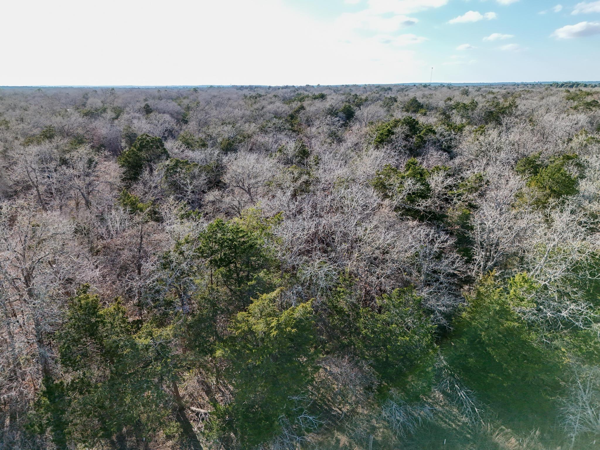 Lot 5 South Old Potato Rd, Paige, TX 78659