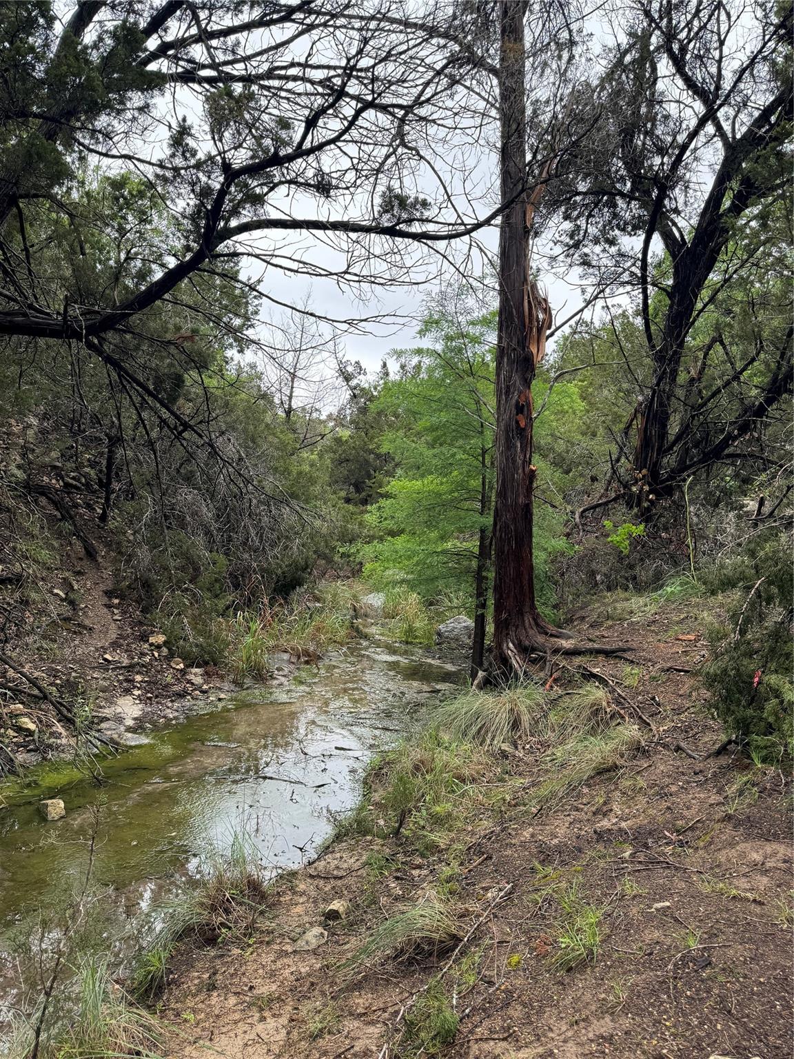 000 Windy Hills Rd, Dripping Springs, TX 78620