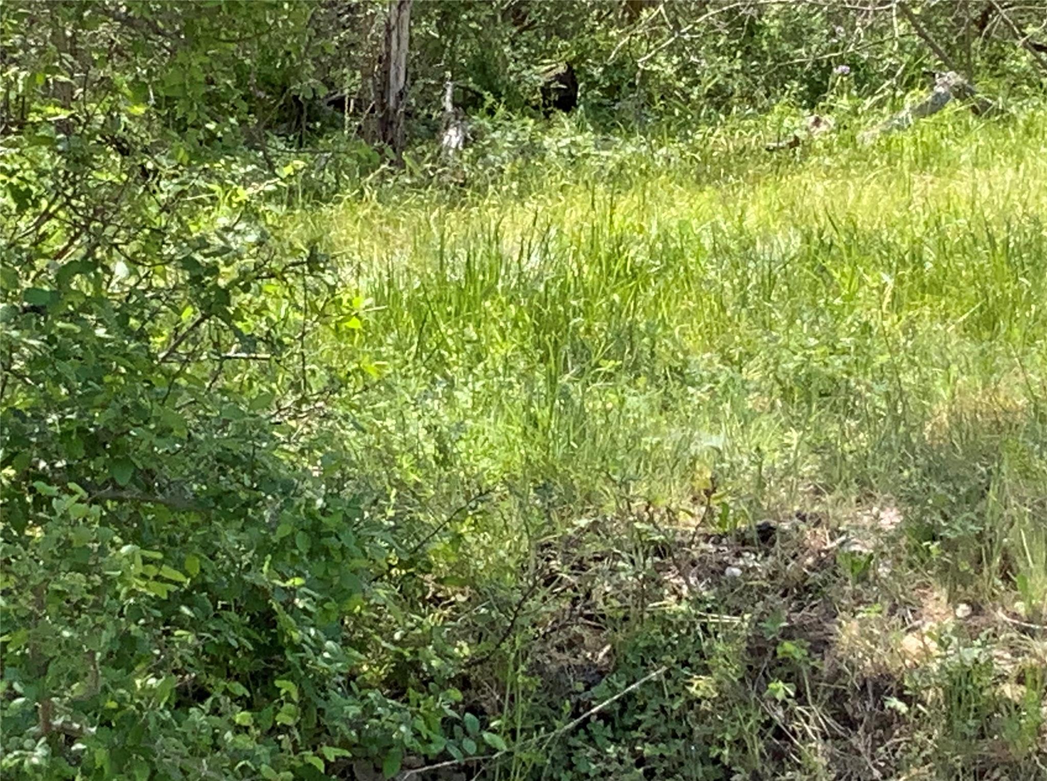 501 Monument St, Lockhart, TX 78644