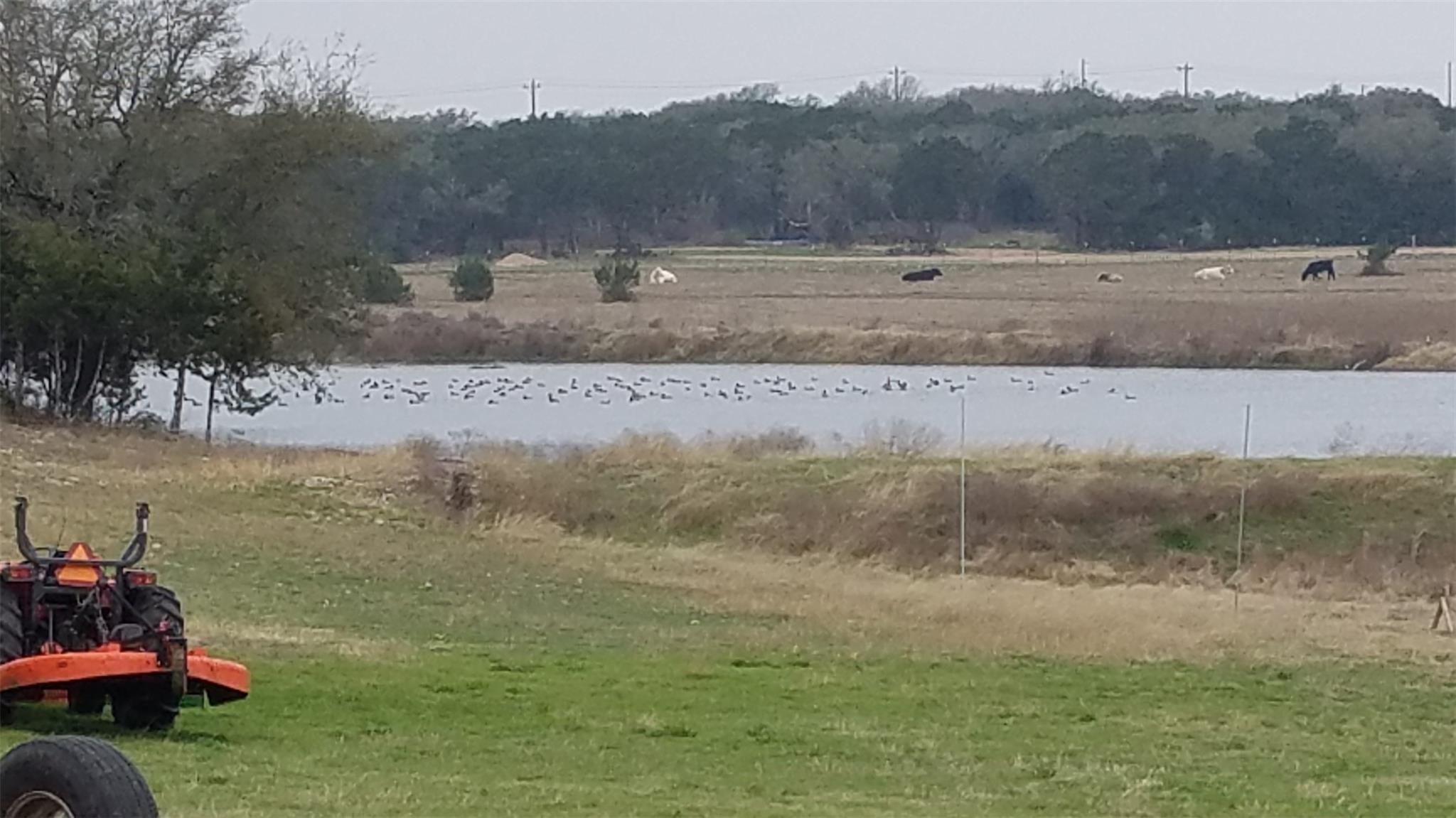7651 Fm-243, Bertram, TX 78605