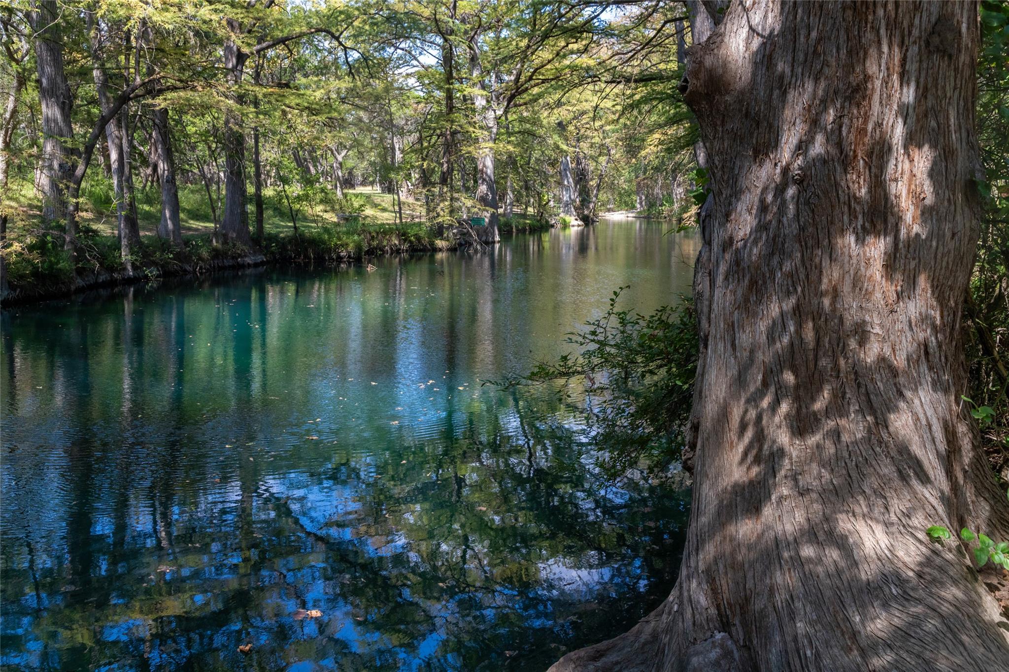19 Deerfield Dr # 2, Wimberley, TX 78676