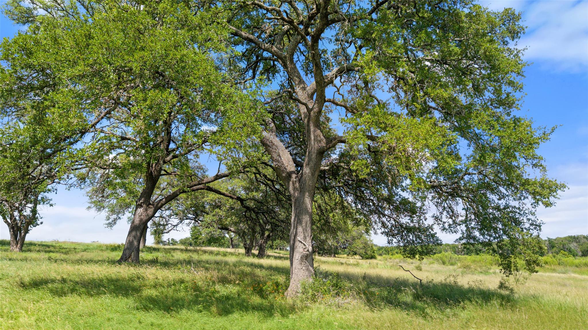 444 & 742 Klein Rd, Stonewall, TX 78671